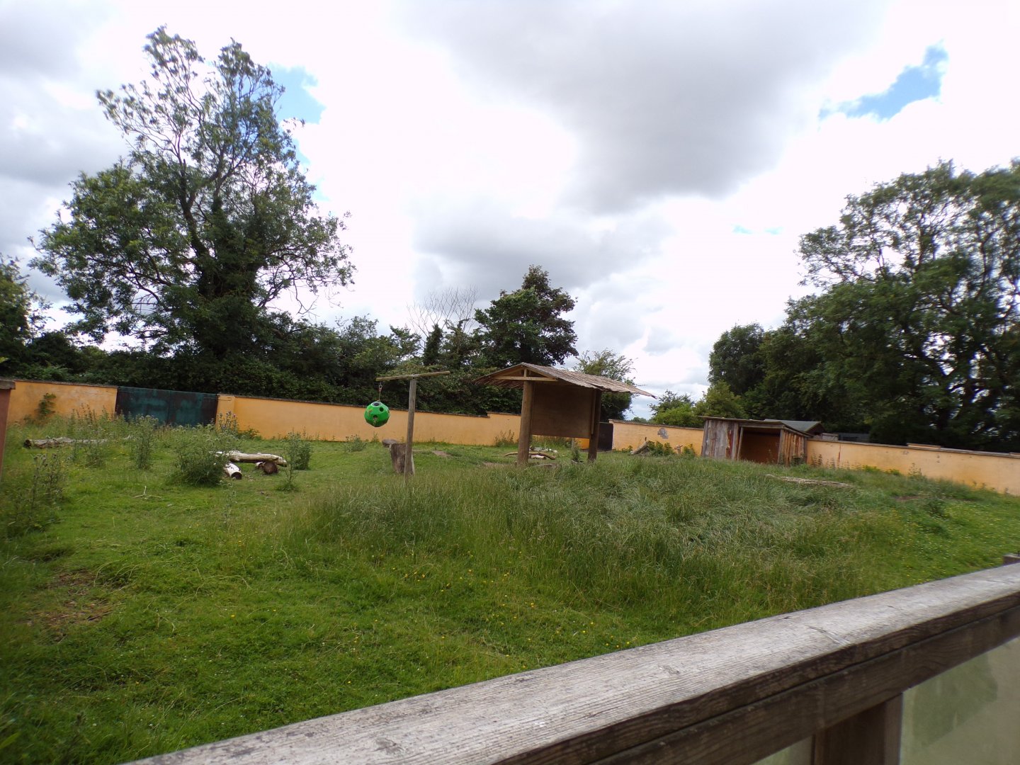 Vicuña enclosure 7.7.24