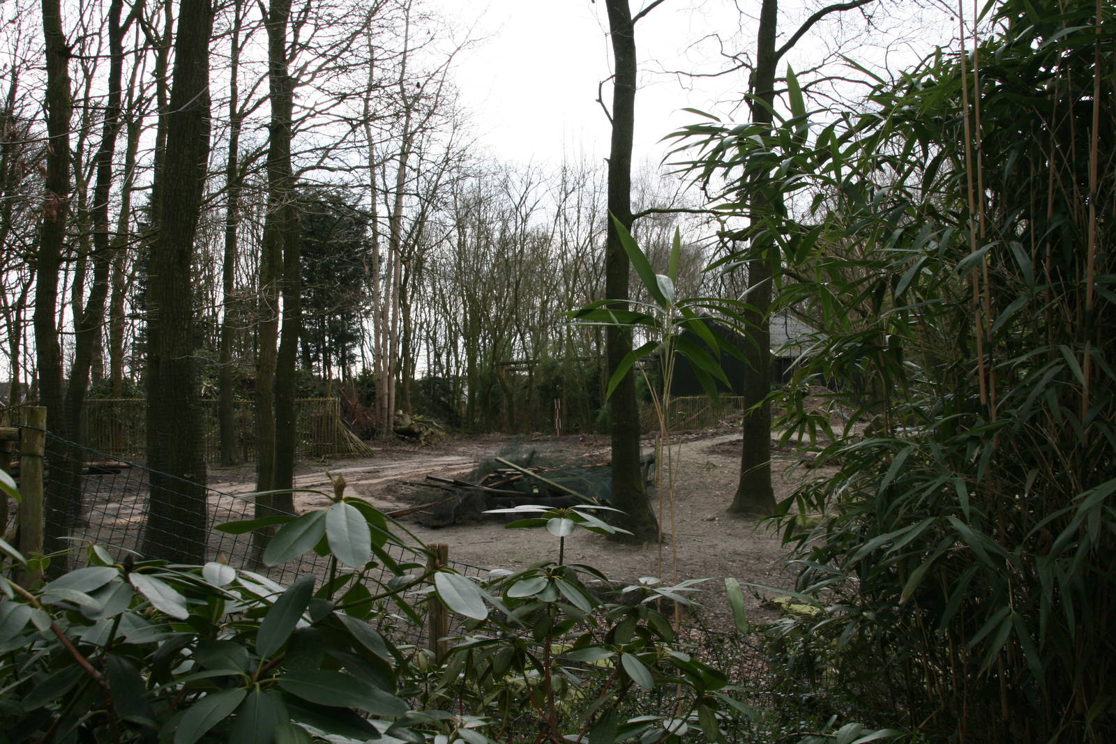 Vicuna exhibit under construction