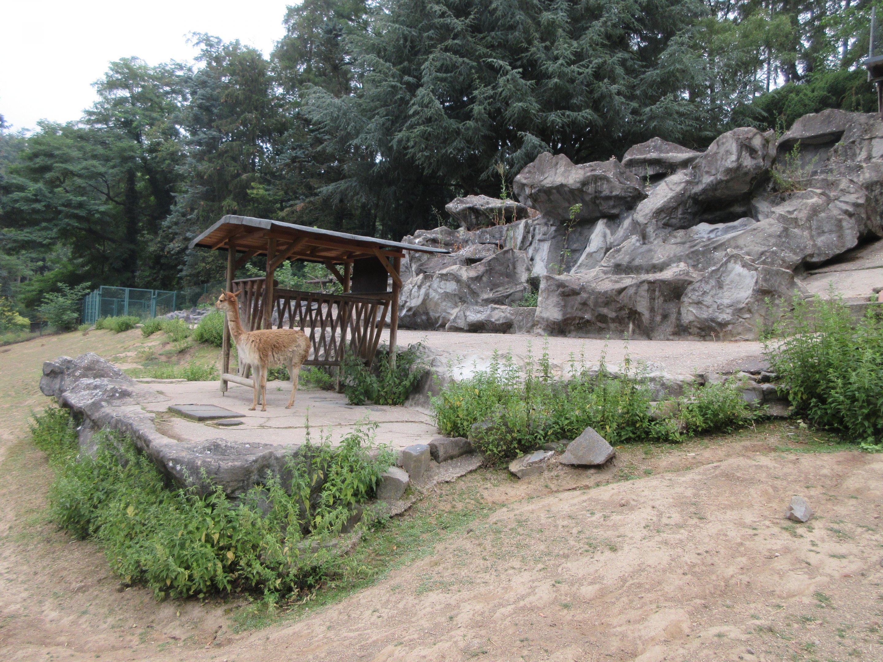 Vicuna Exhibit