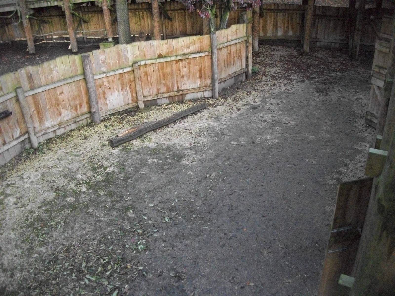 Vicuna hardstanding 1st November 2012