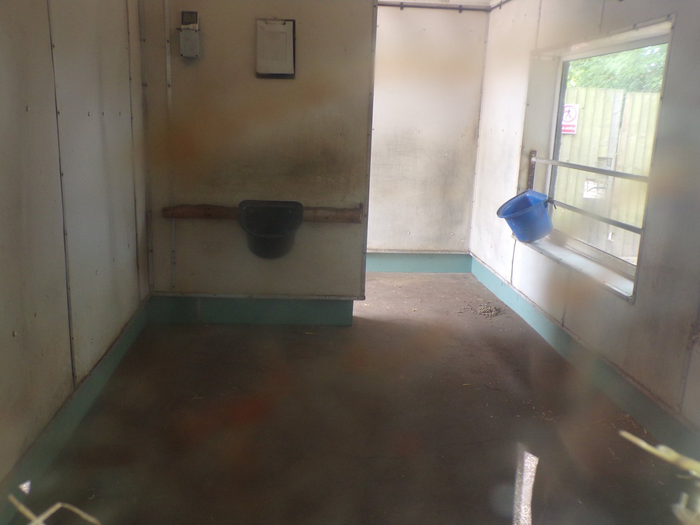 Vicuña indoors 7.7.24