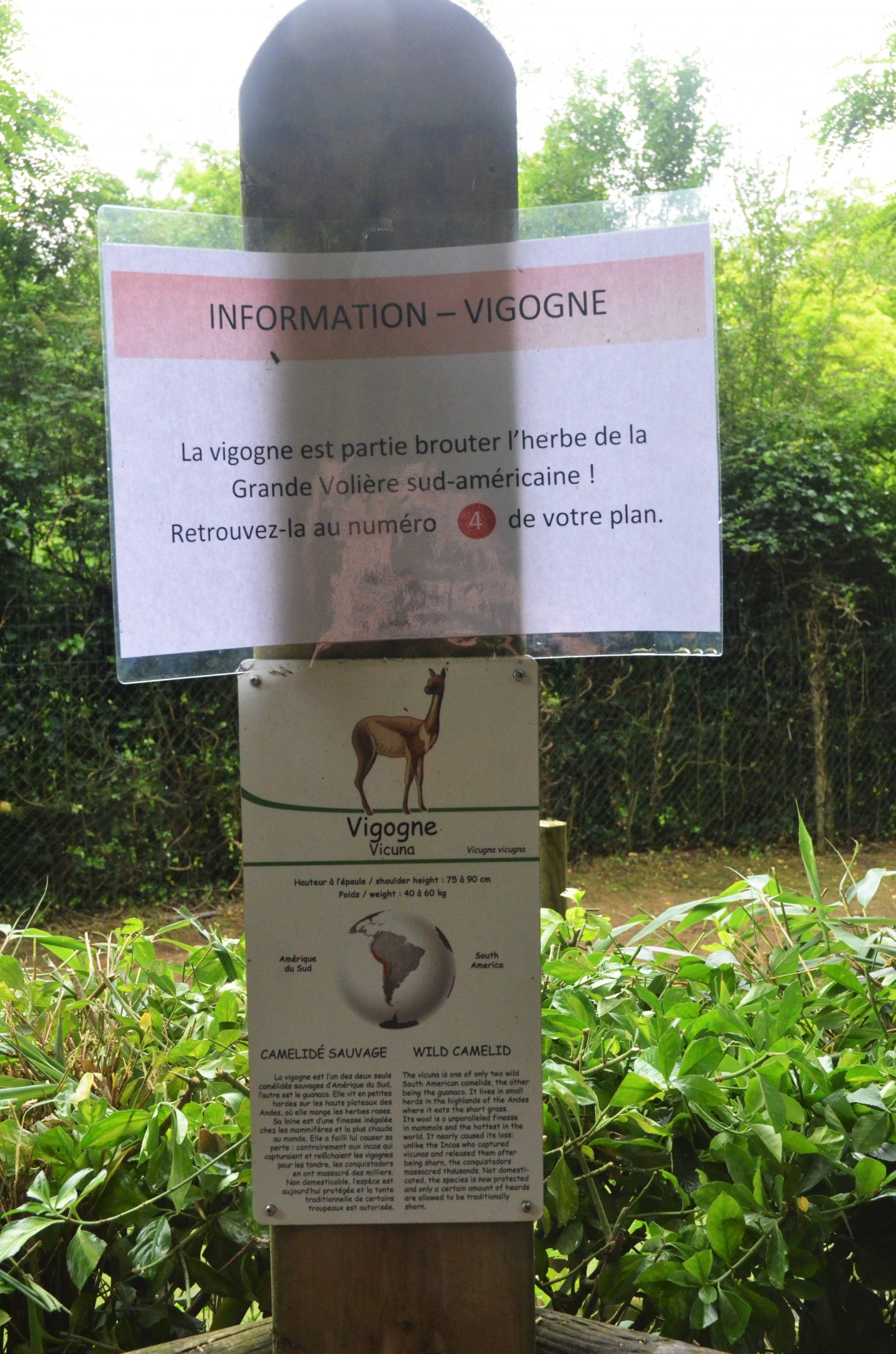 Vicuna Signage at Doué-la-Fontaine, 15/06/18