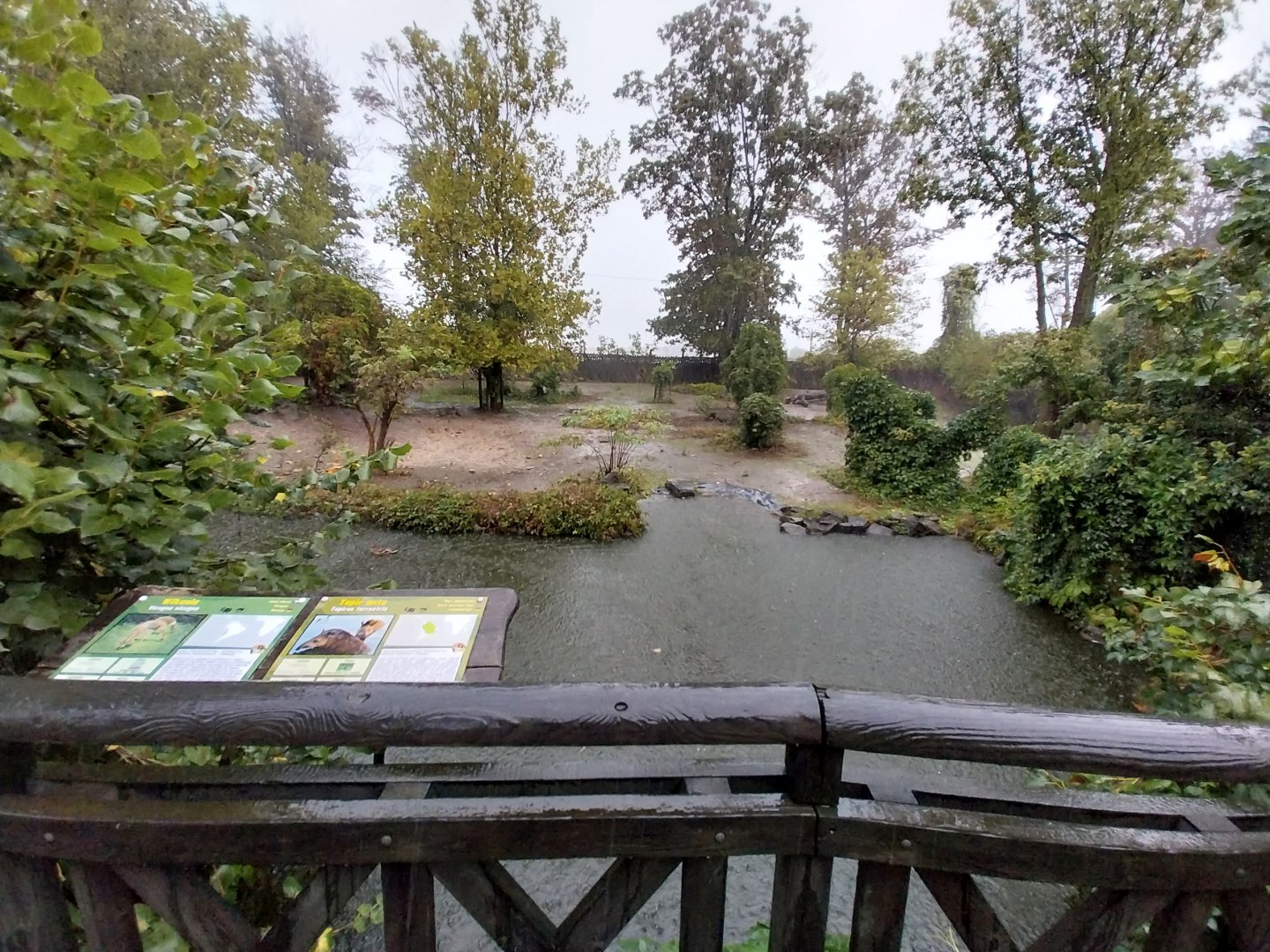 Vicunha - South American tapir exhibit