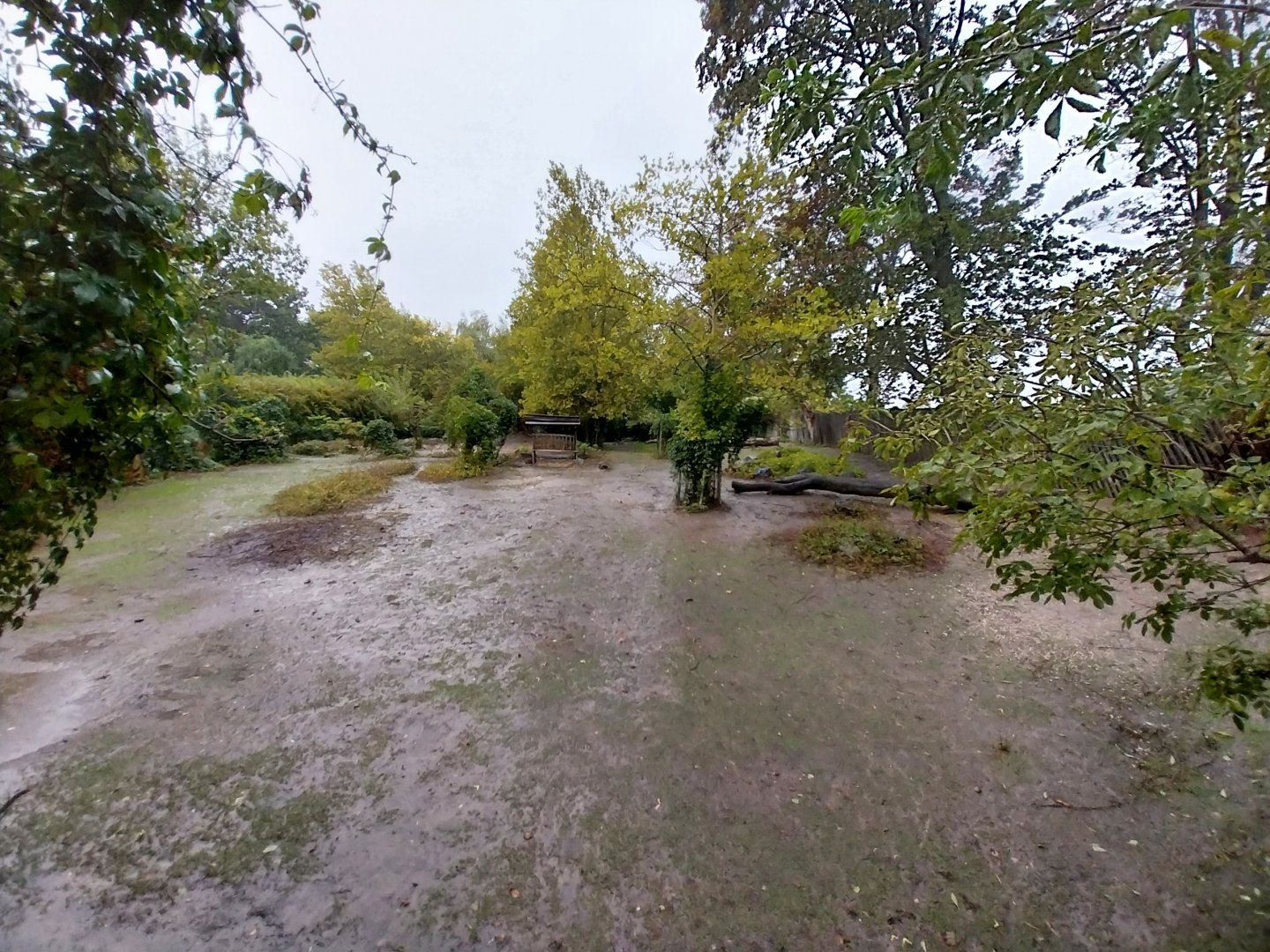 Vicunha - South American tapir exhibit