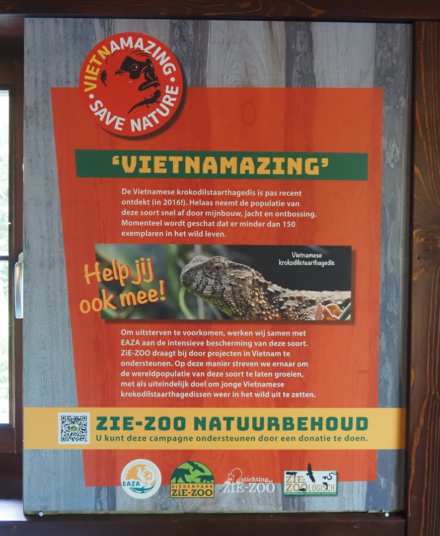 Vietnamese crocodile lizard signage as part of EAZA Vietnamazing campaign, 2024-04-14