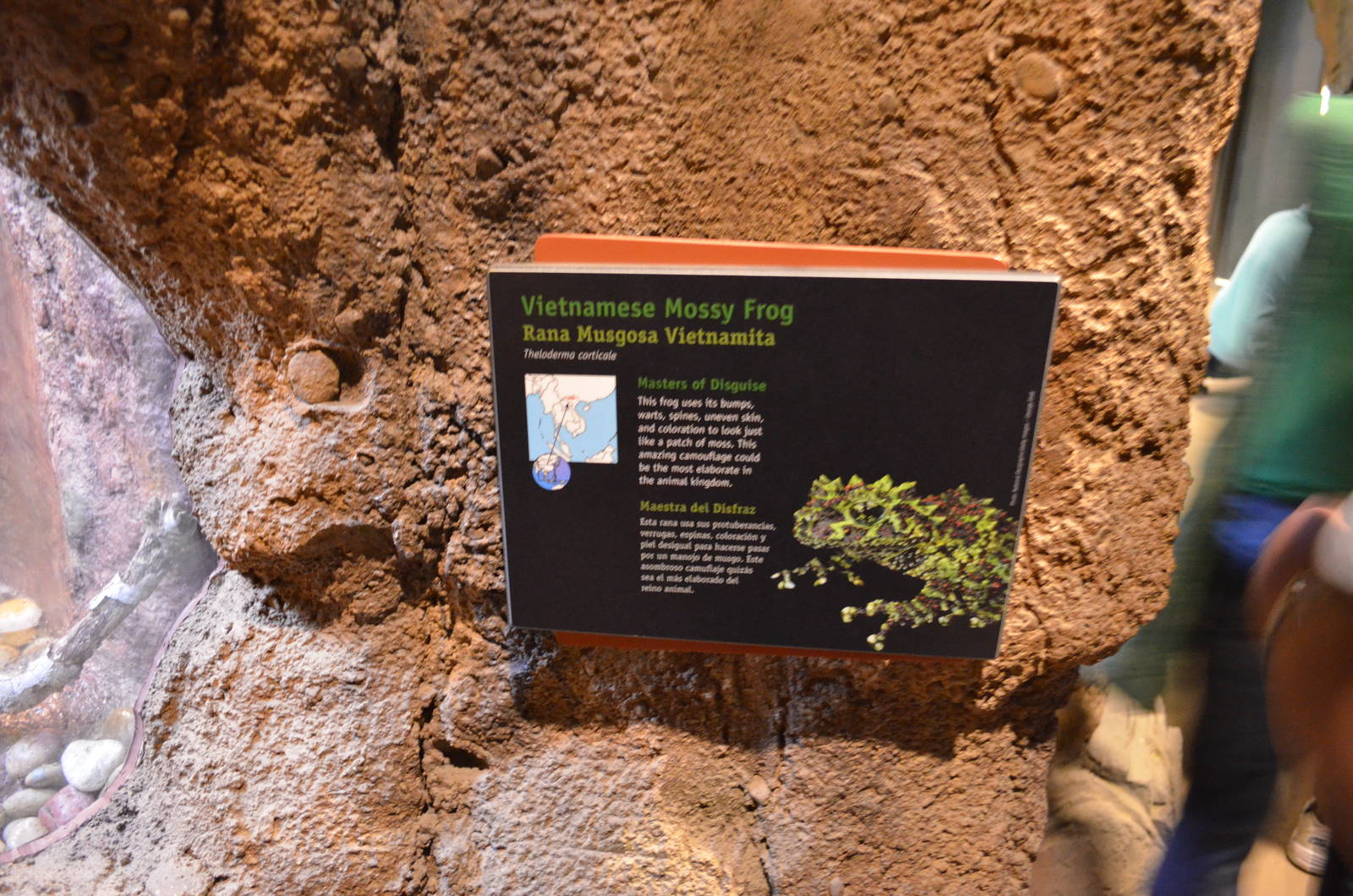 VIETNAMESE MOSSY FROG SIGNAGE