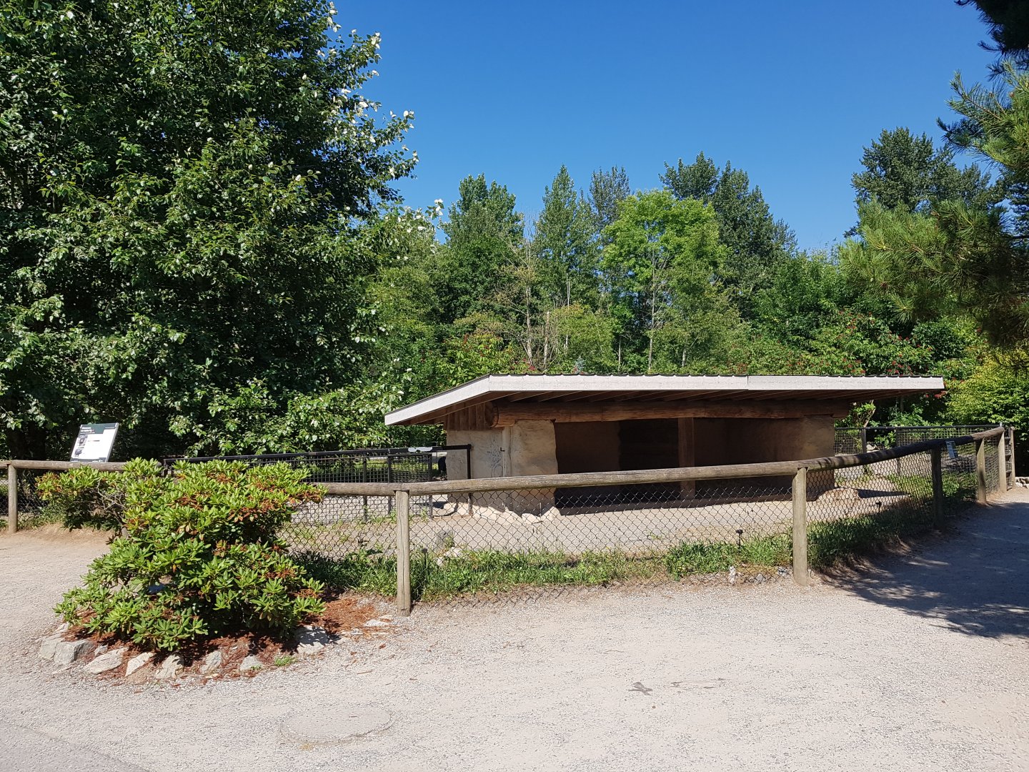 Vietnamese Pot-Bellied Pig Exhibit