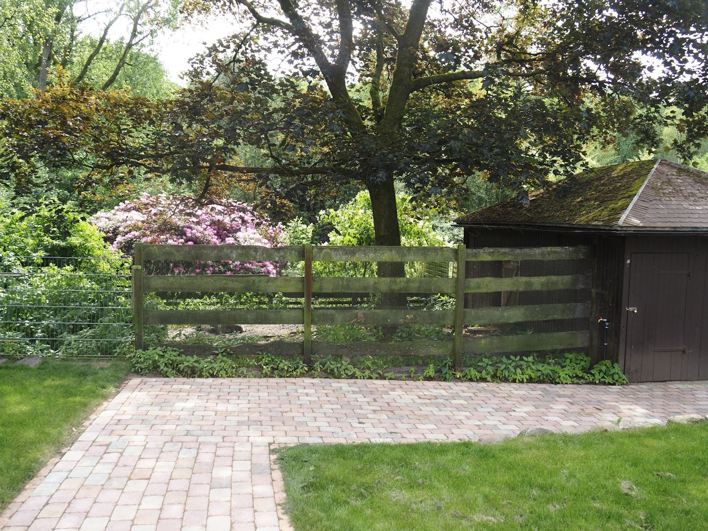 Vietnamese pot-bellied pig pen and barn, 2024-05-21