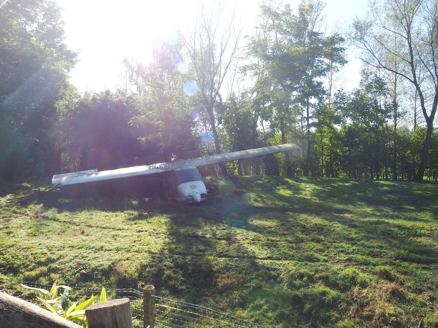 Vietnamese sika deer, Blackbuck and Reeves's muntjac paddock (Former African wild dog exhibit), 2022-10-09