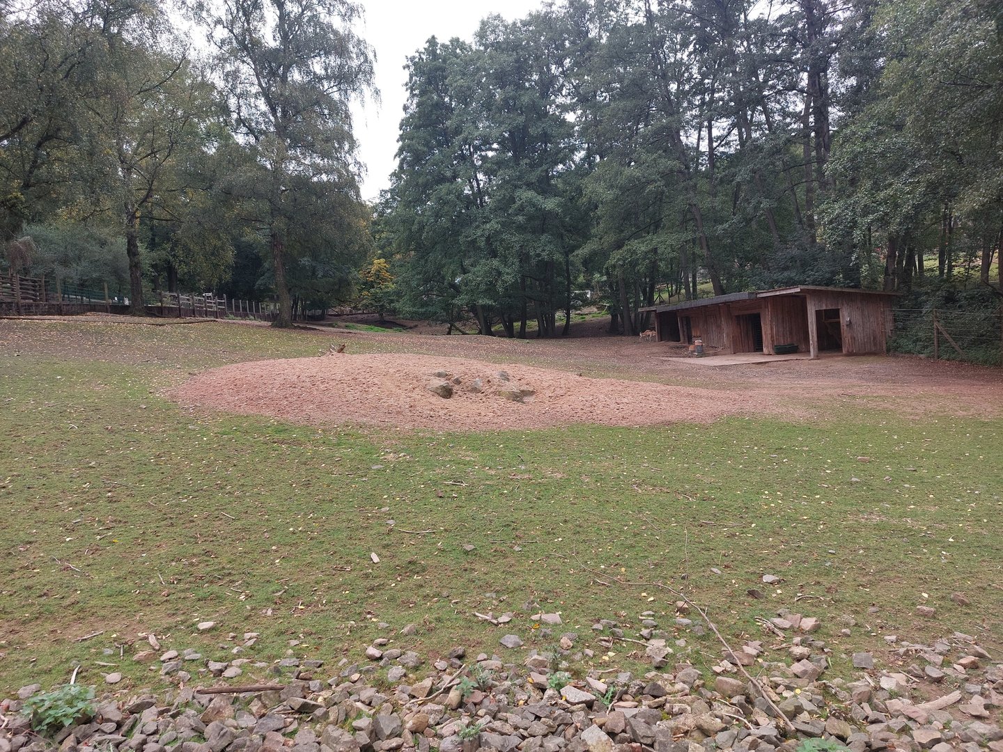 Vietnamese sika deer & blackbuck enclosure