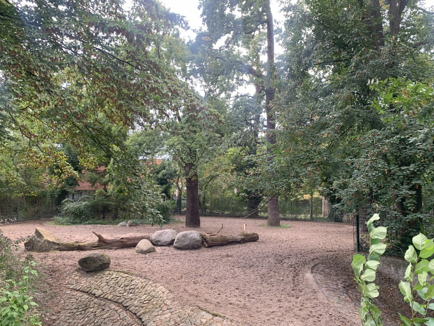 Vietnamese Sika Deer enclosure