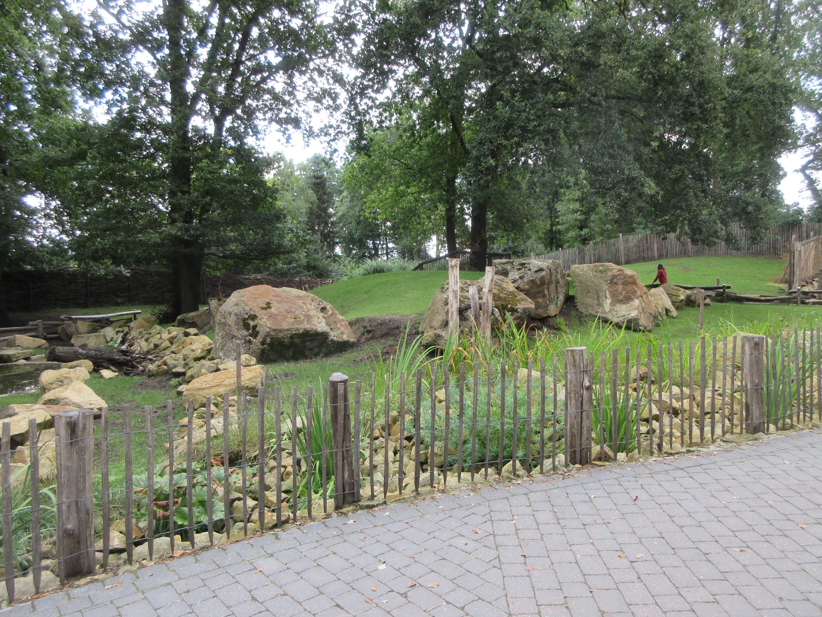 Vietnamese Sika Deer Exhibit (walk-through)