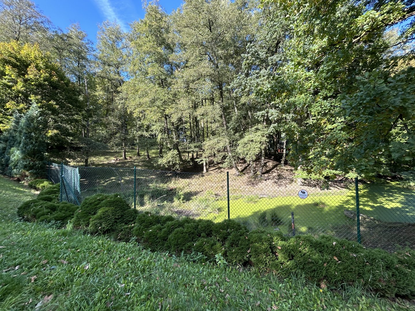 Vietnamese Sika Deer Exhibit