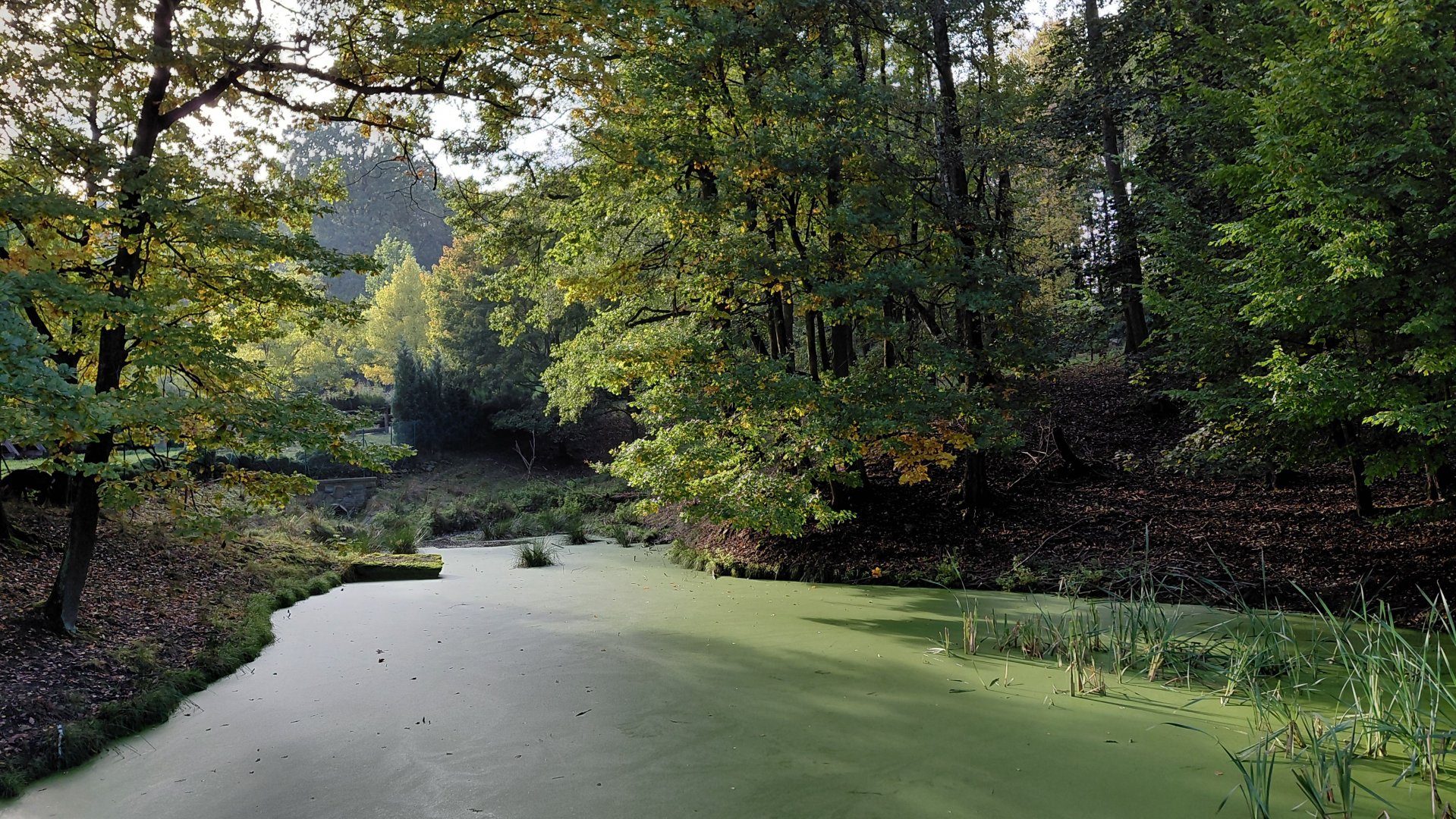 Vietnamese sika deer exhibit
