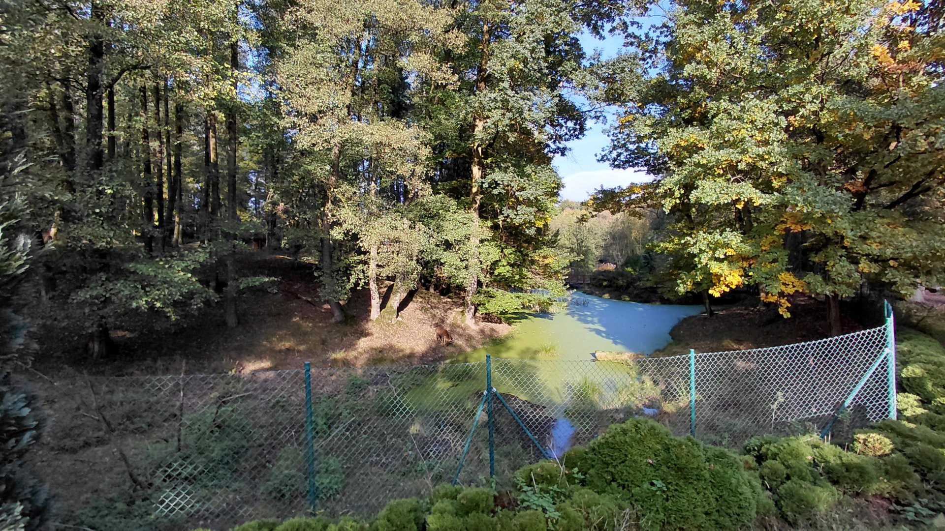 Vietnamese sika deer exhibit