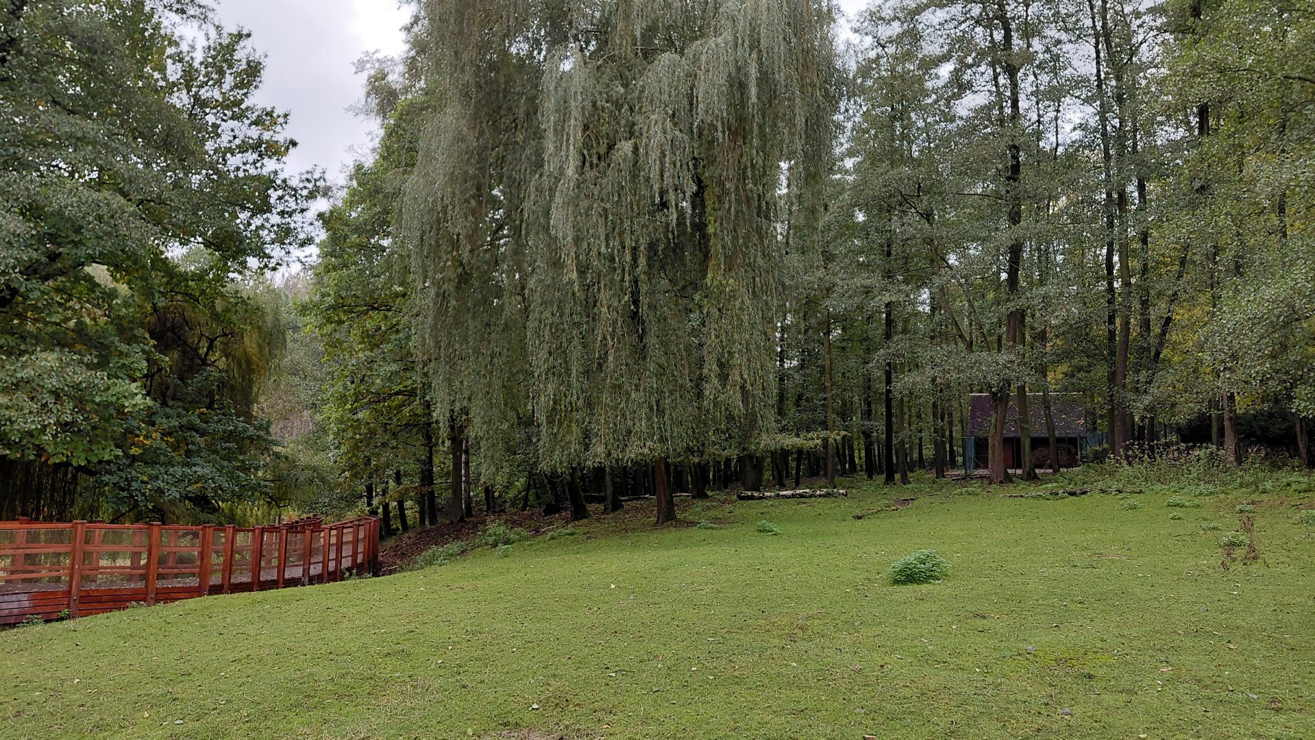 Vietnamese sika deer exhibit