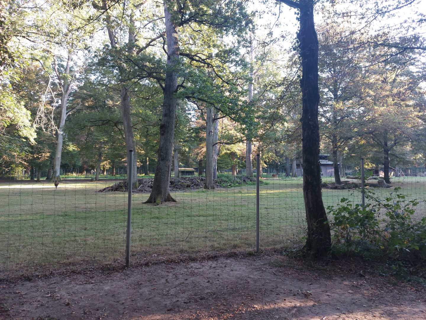 Vietnamese sika deer paddock