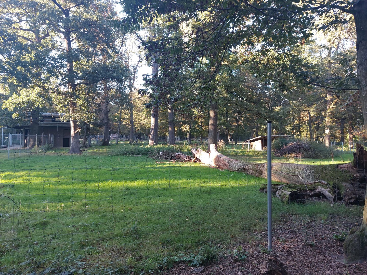 Vietnamese sika deer paddock