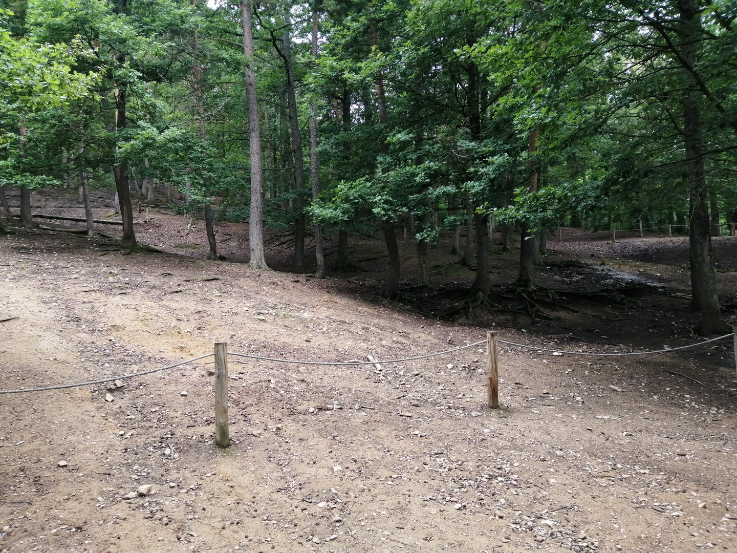 Vietnamese sika deer walkthrough exhibit