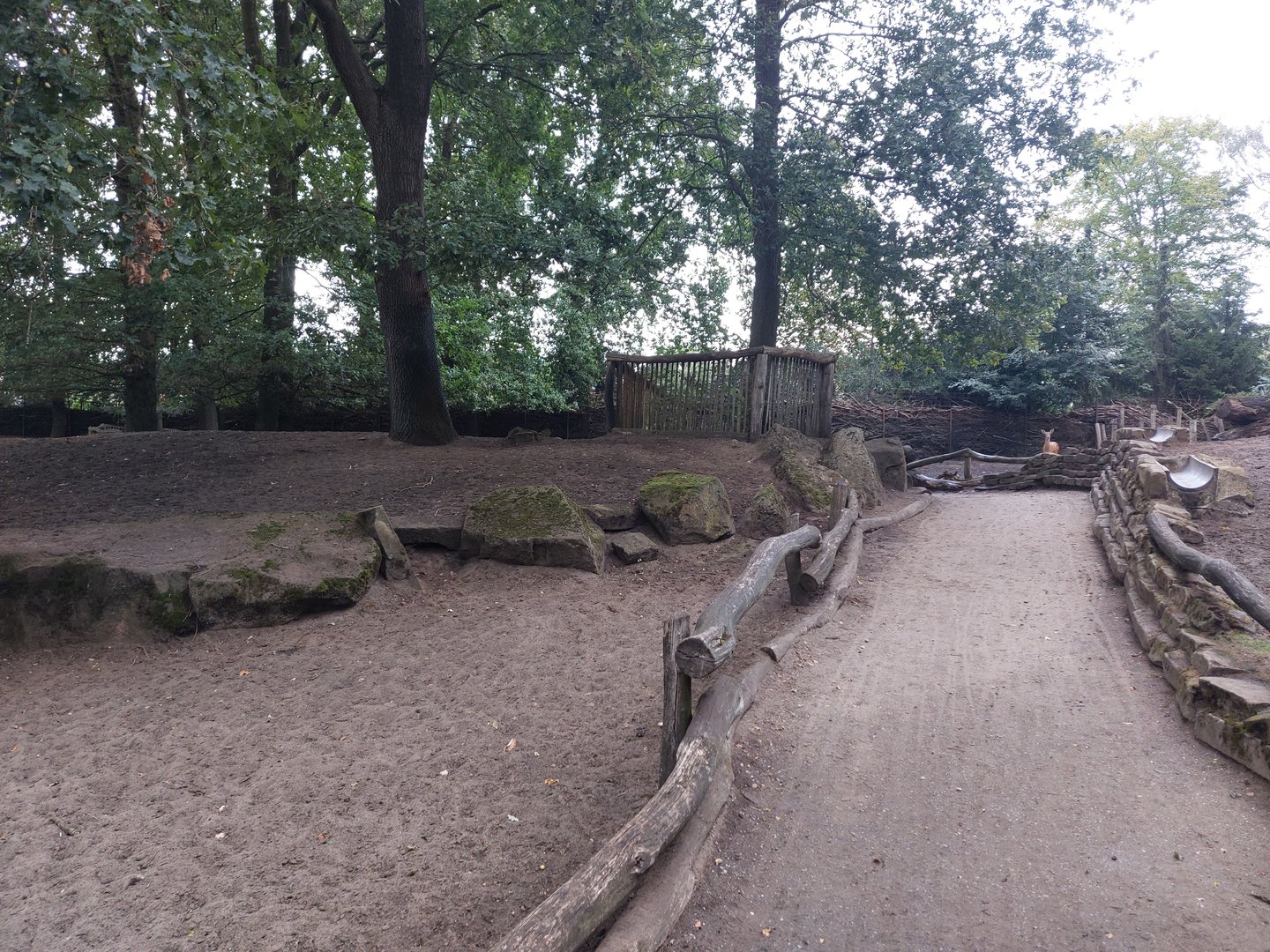 Vietnamese sika deer walkthrough