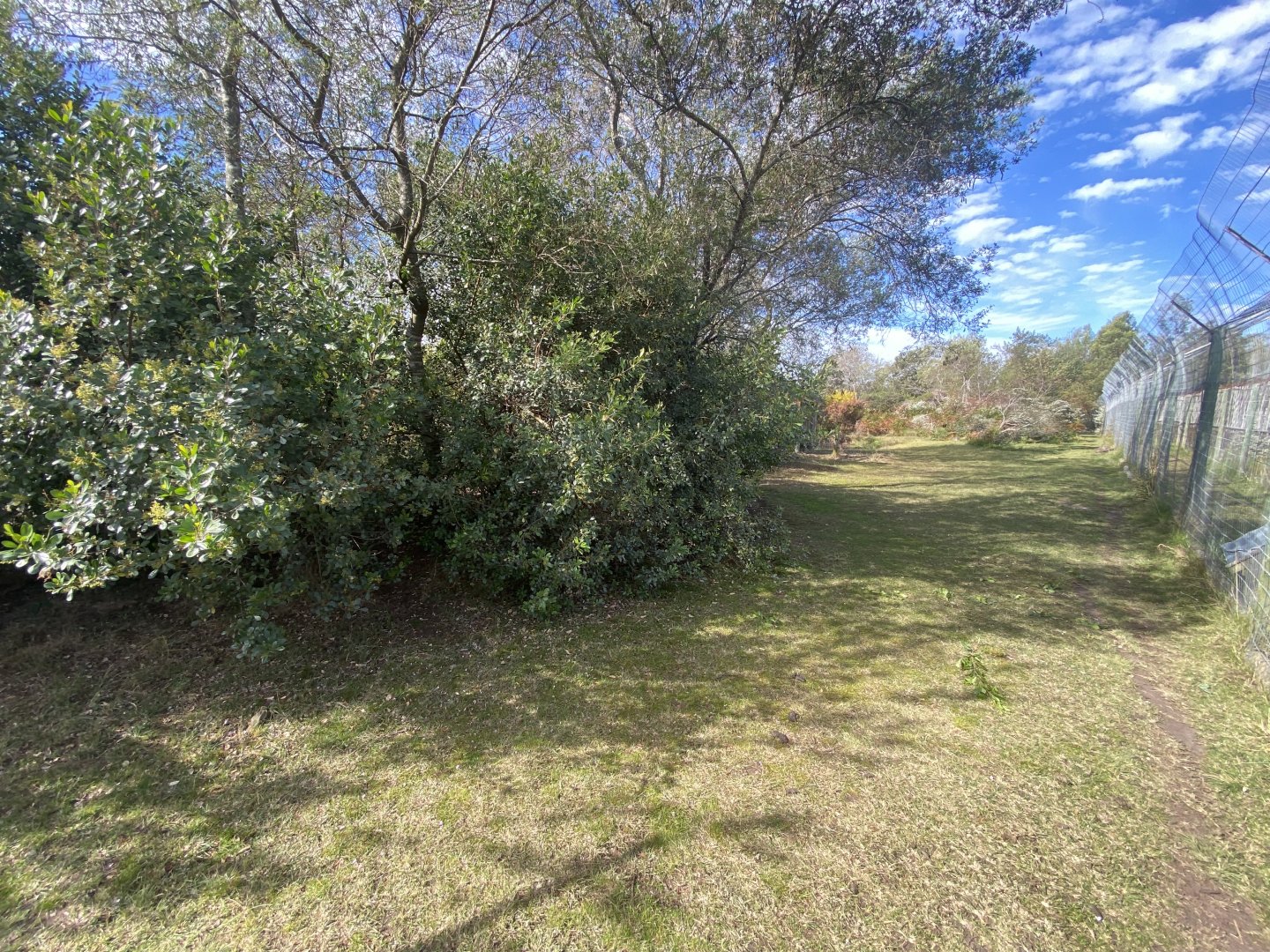 View 1 inside of serval enclosure