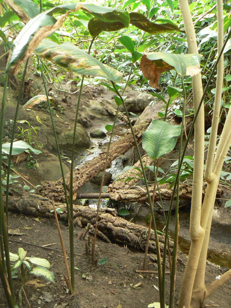 View - 10 April 2017