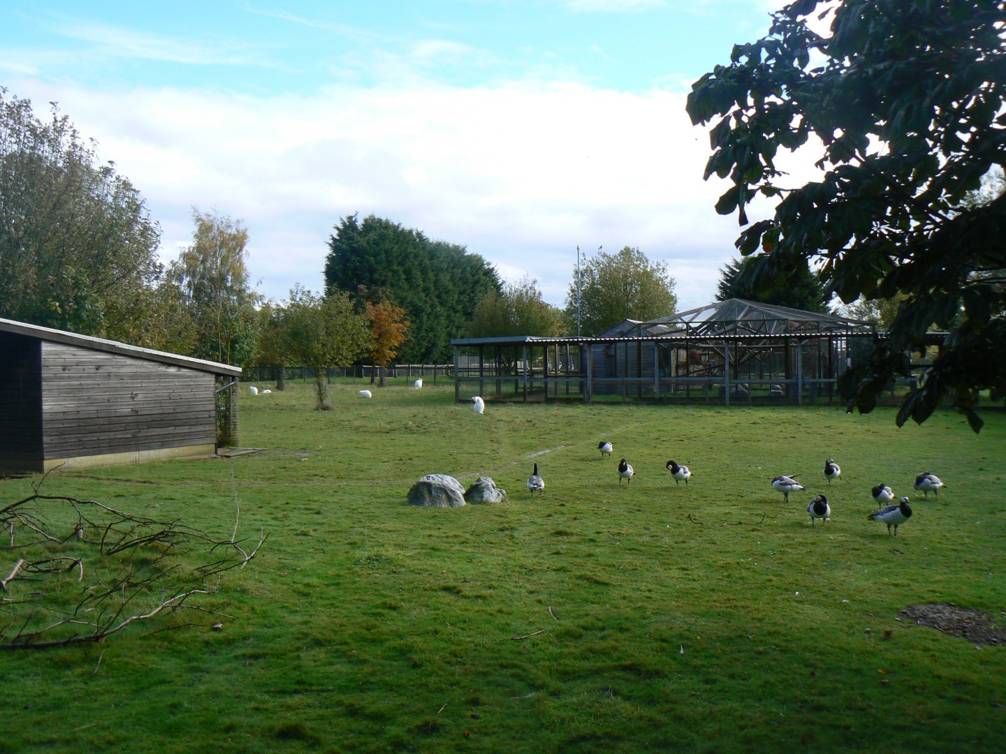 View - 16 October 2016