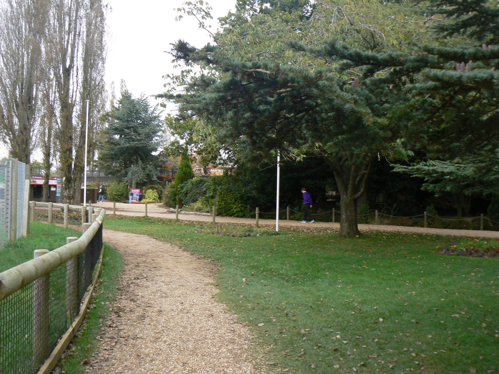 View- 17 October 2015