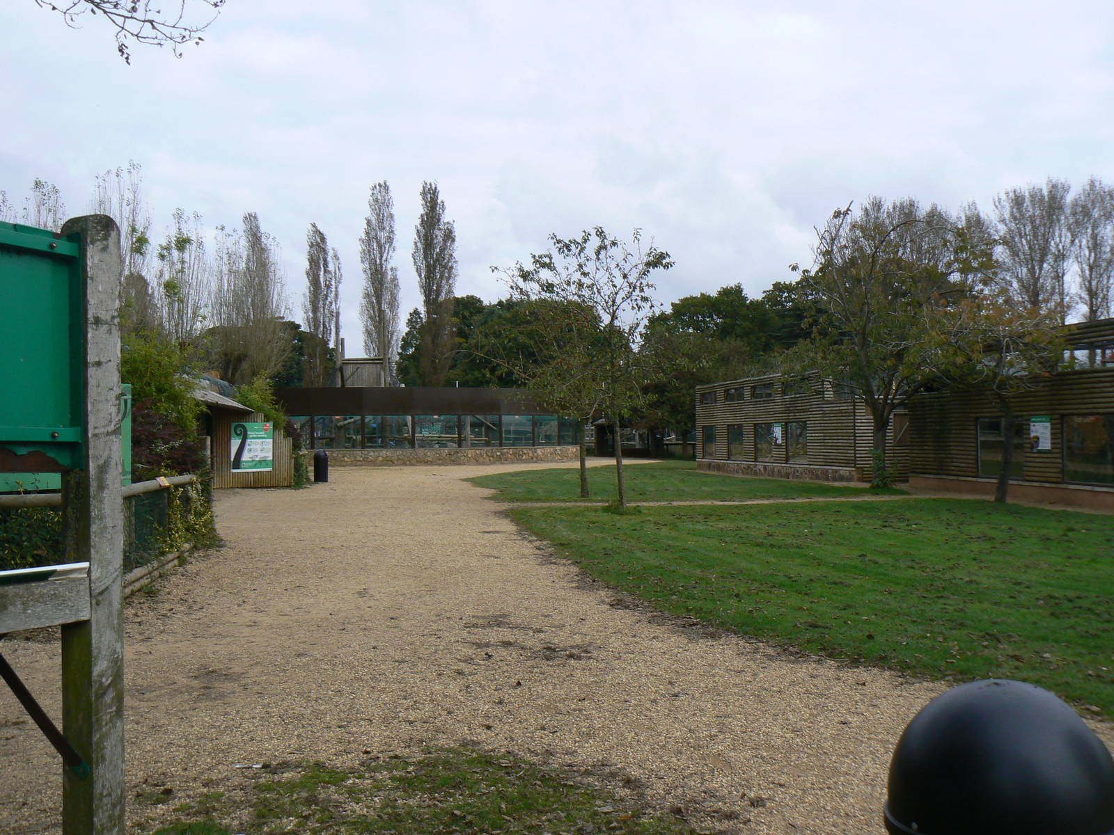 View- 17 October 2015