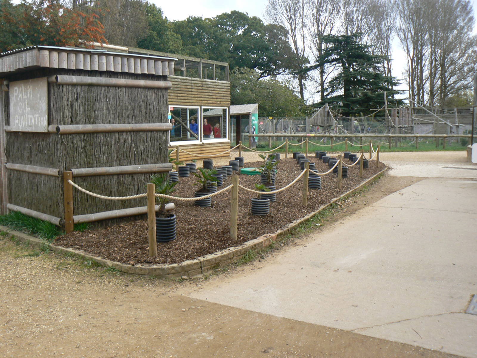 View- 17 October 2015