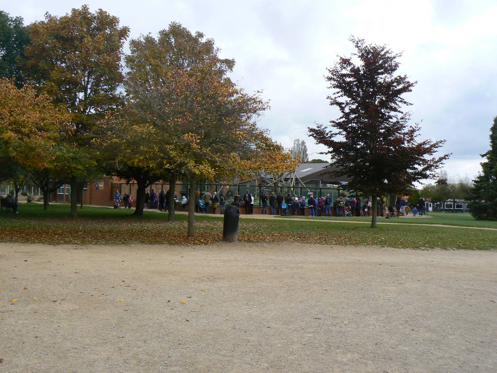 View- 17 October 2015