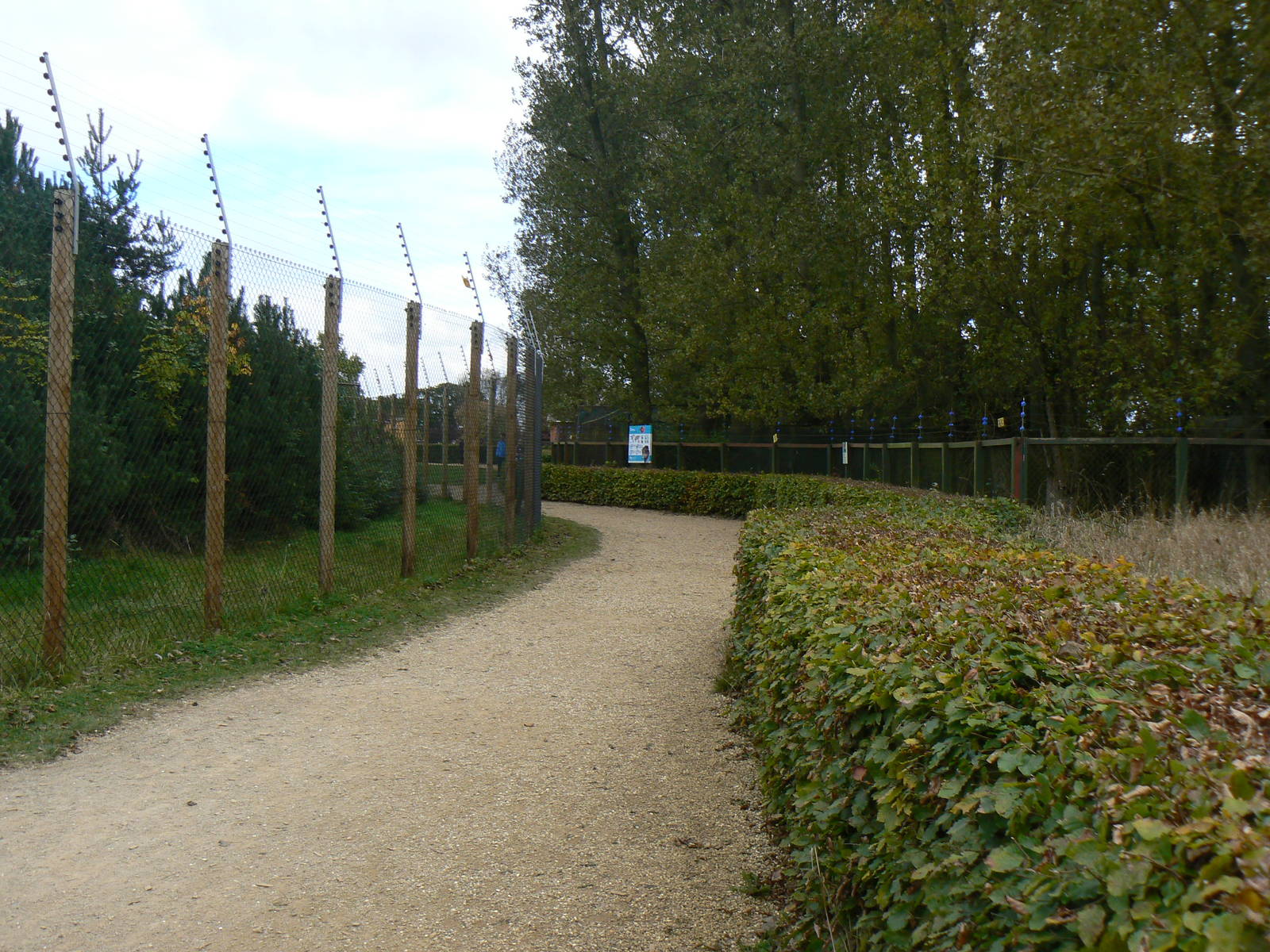 View- 17 October 2015