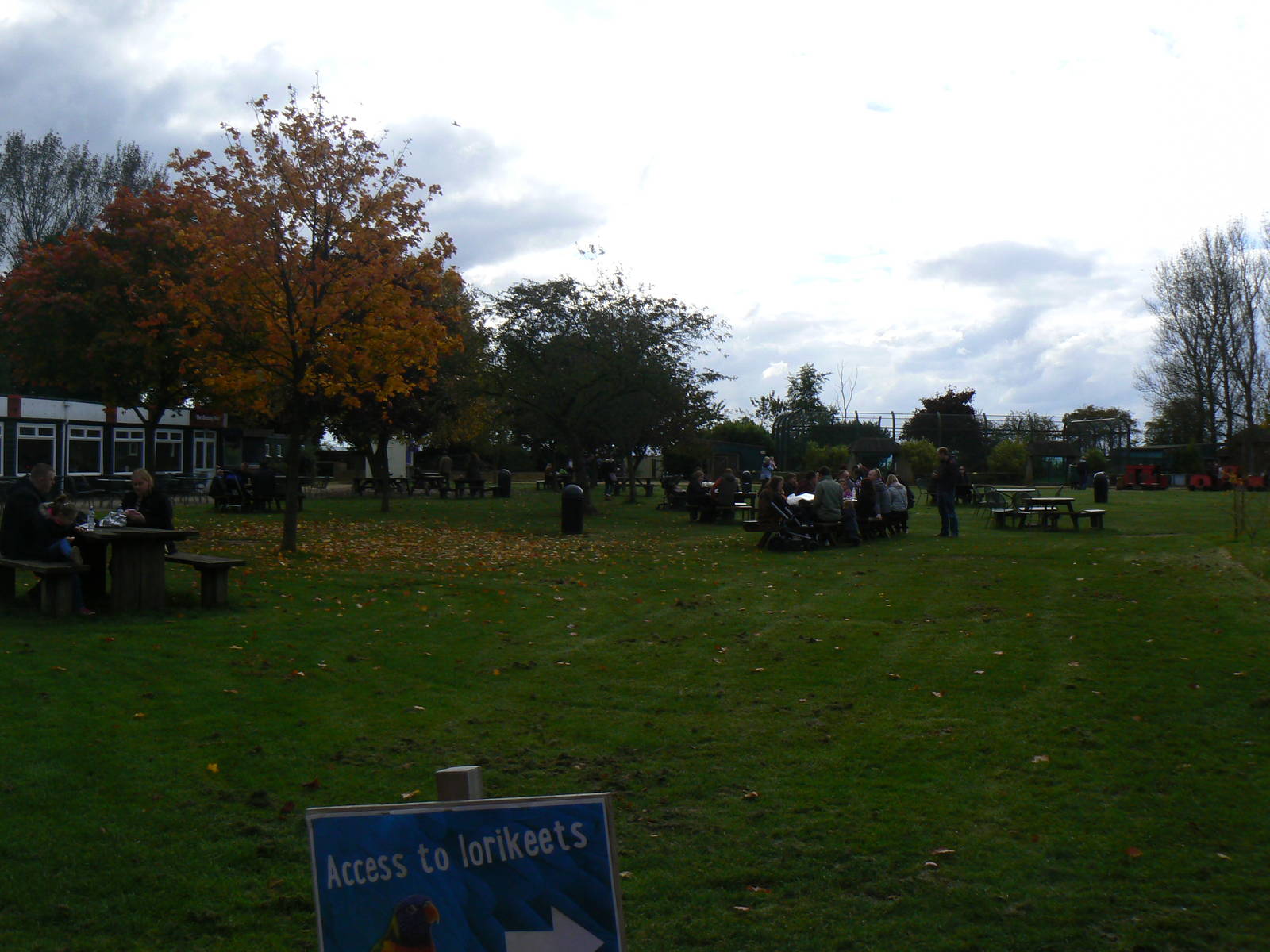 View- 17 October 2015