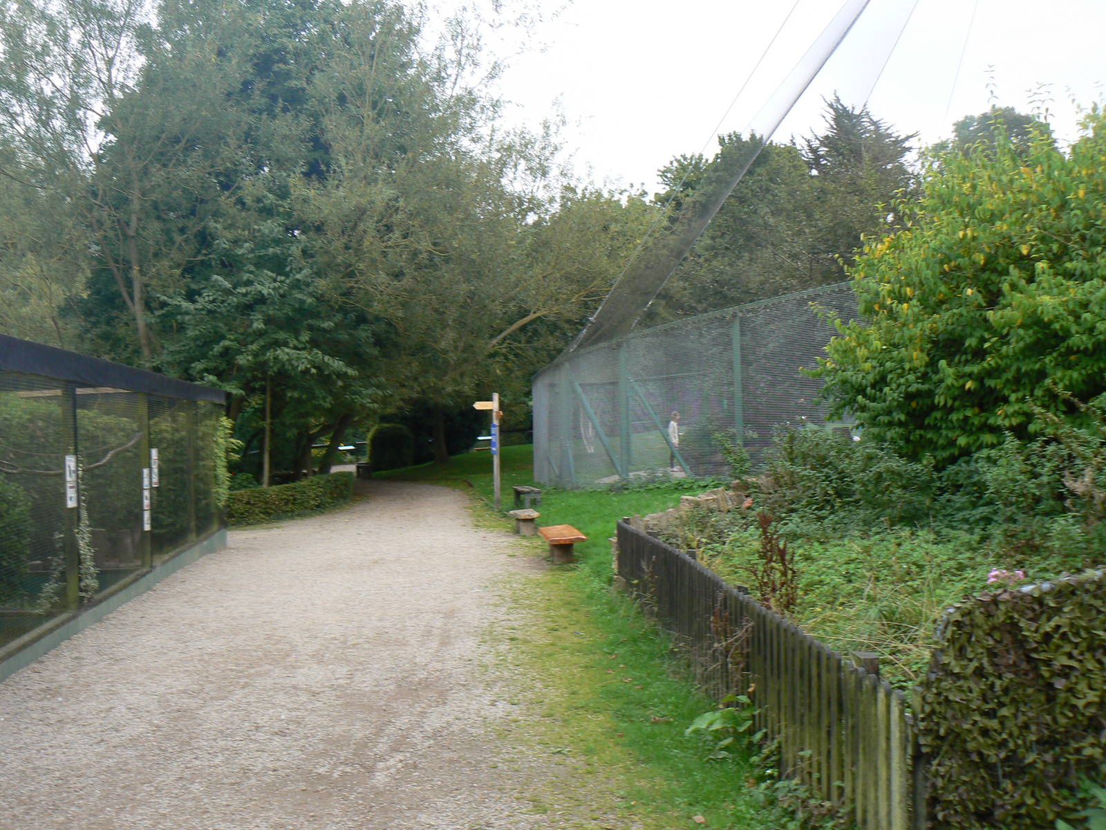 View - 17 September 2016