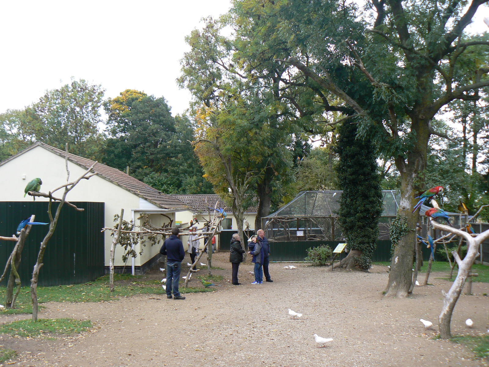 View- 18 October 2015