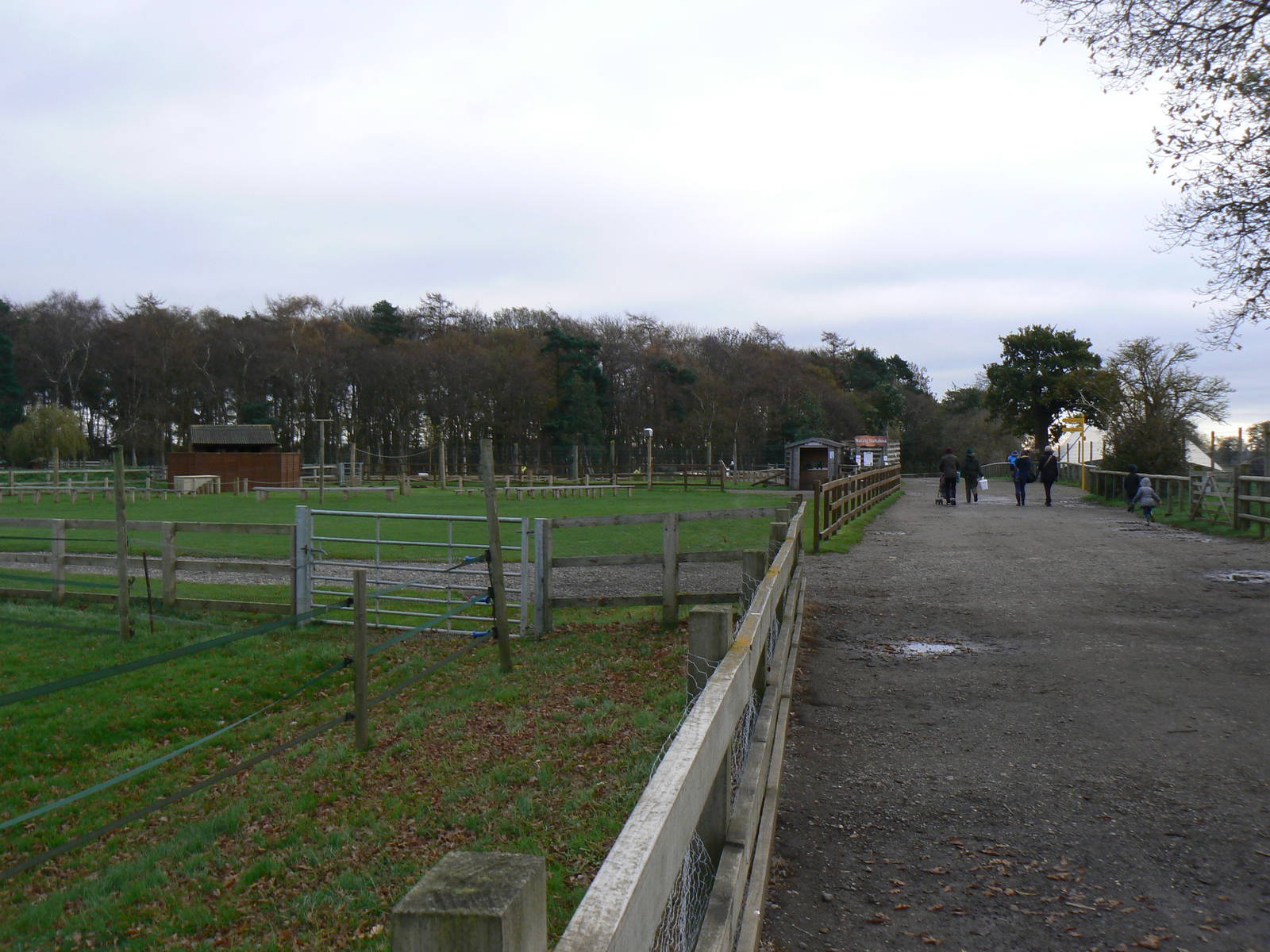 View - 22 November 2015