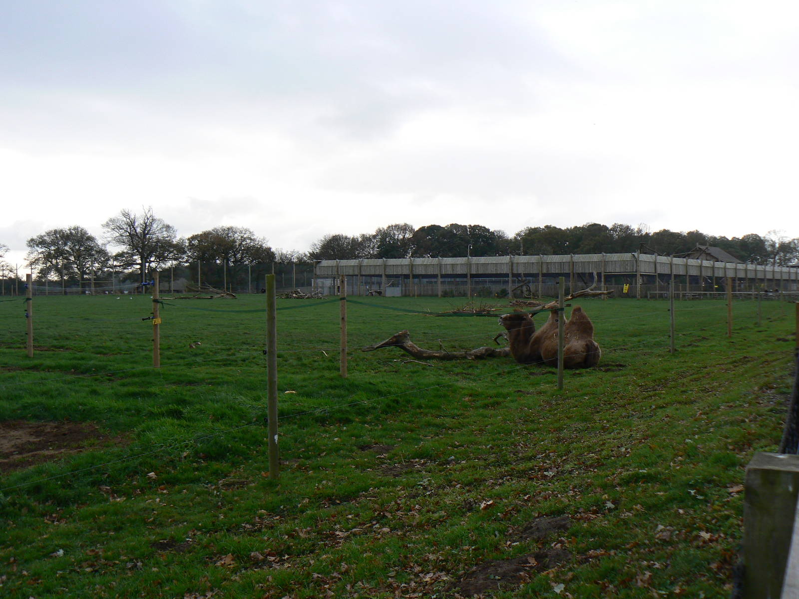 View - 22 November 2015