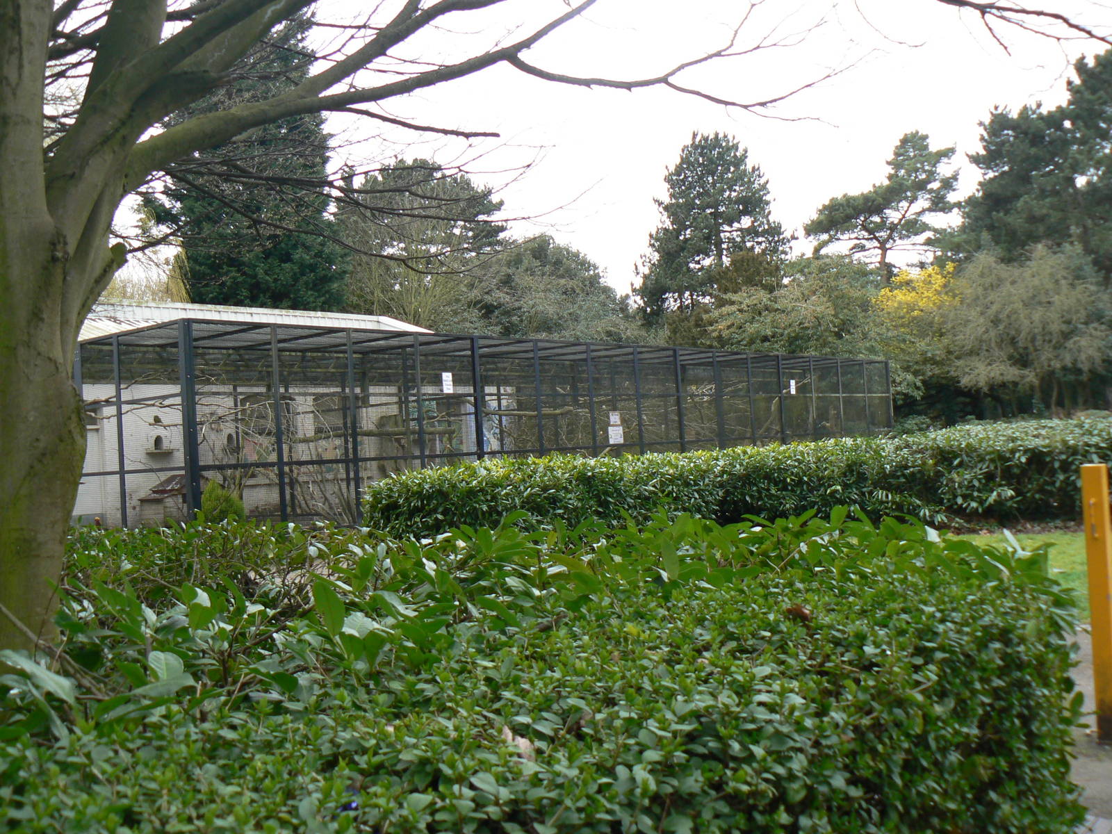 View - 26 March 2016, Pickering Park Aviaries