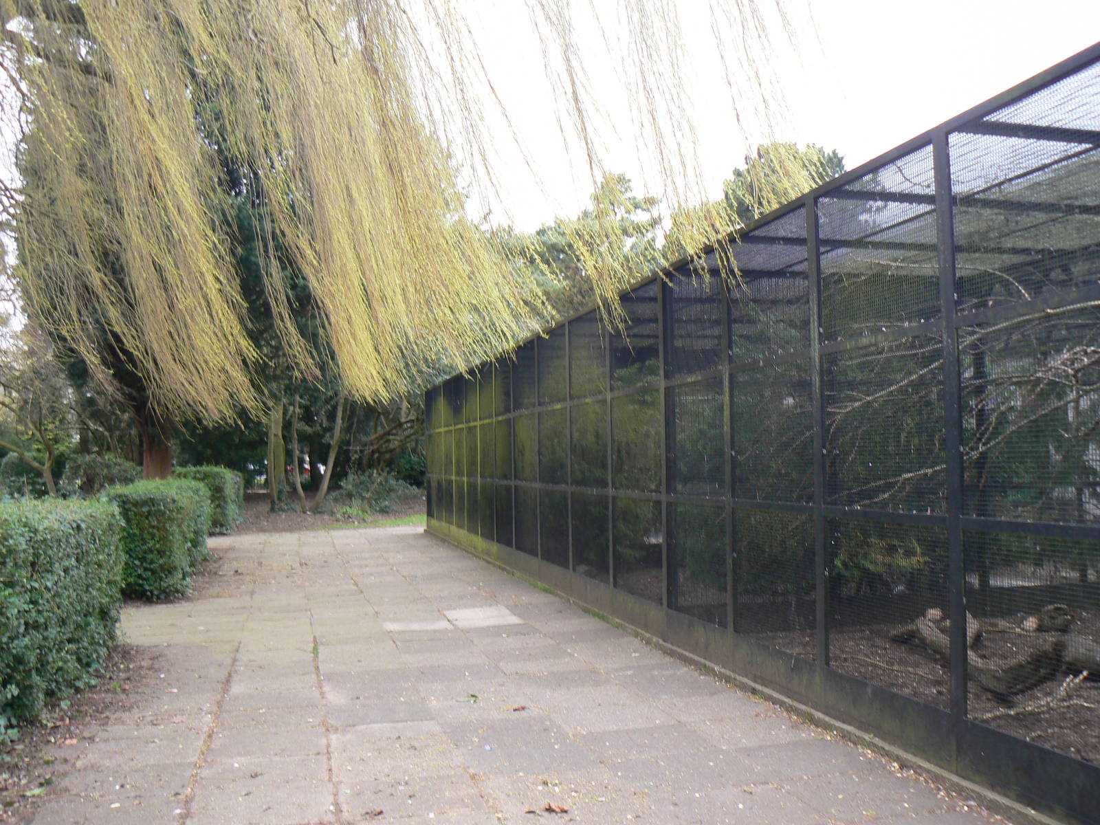 View - 26 March 2016, Pickering Park Aviaries