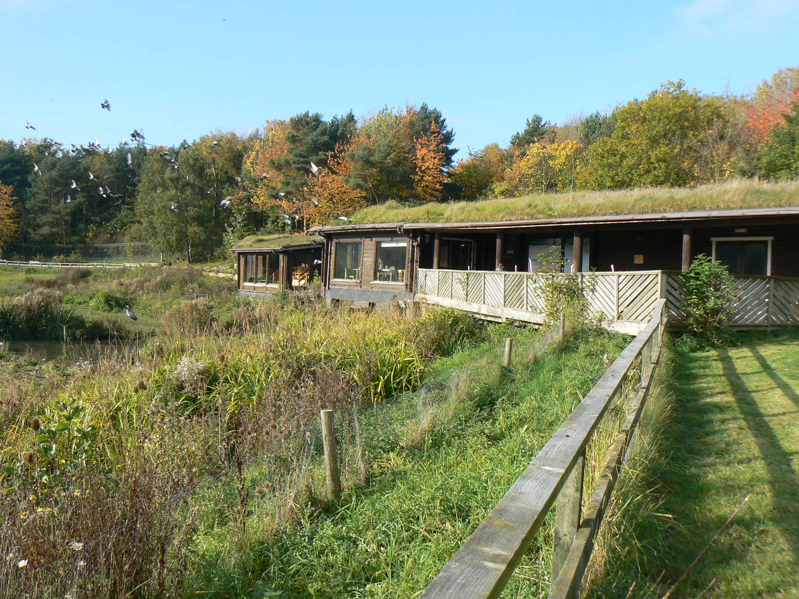 View - 26 October 2015