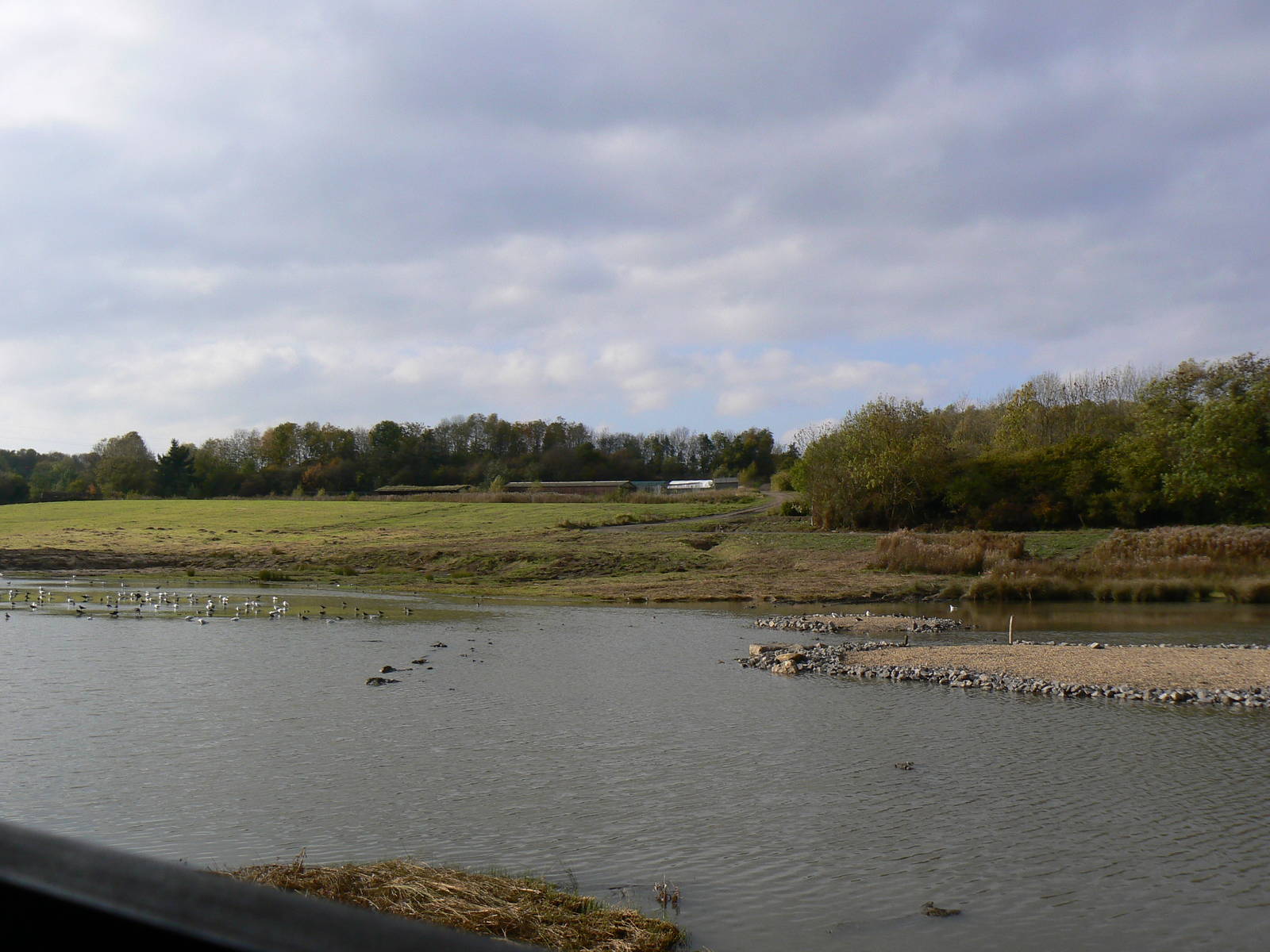 View - 26 October 2015