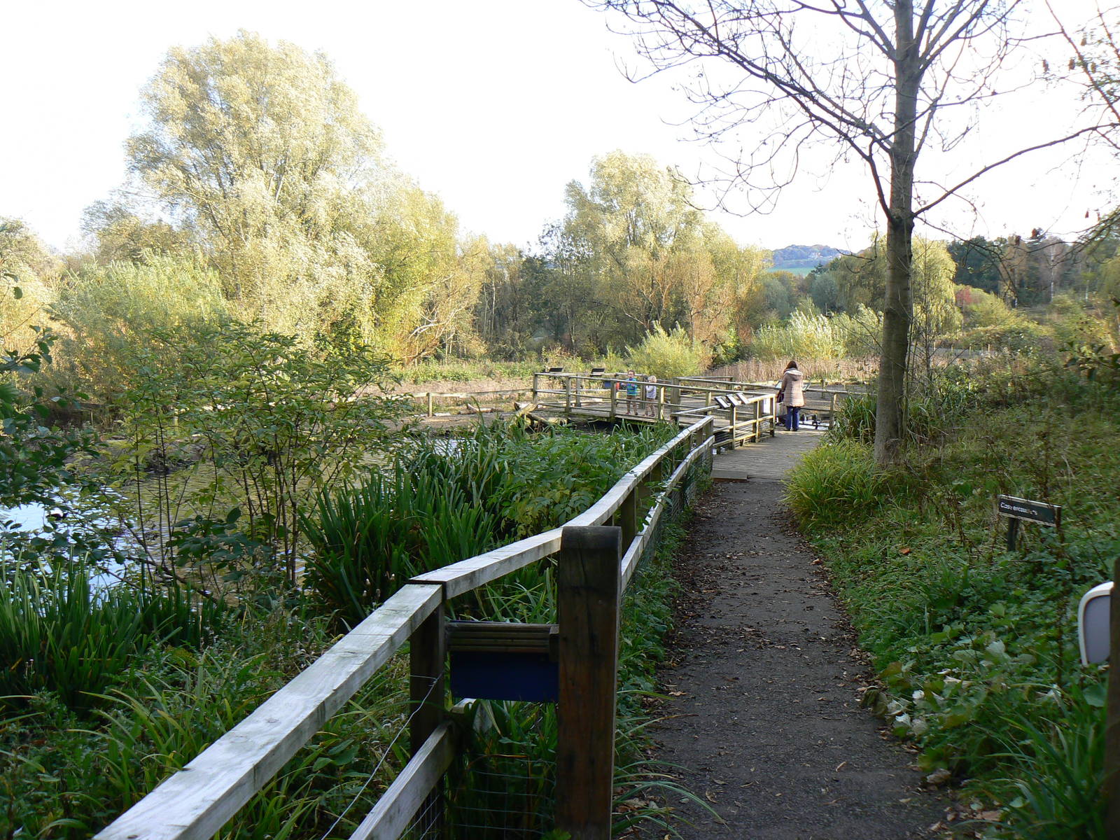 View - 26 October 2015