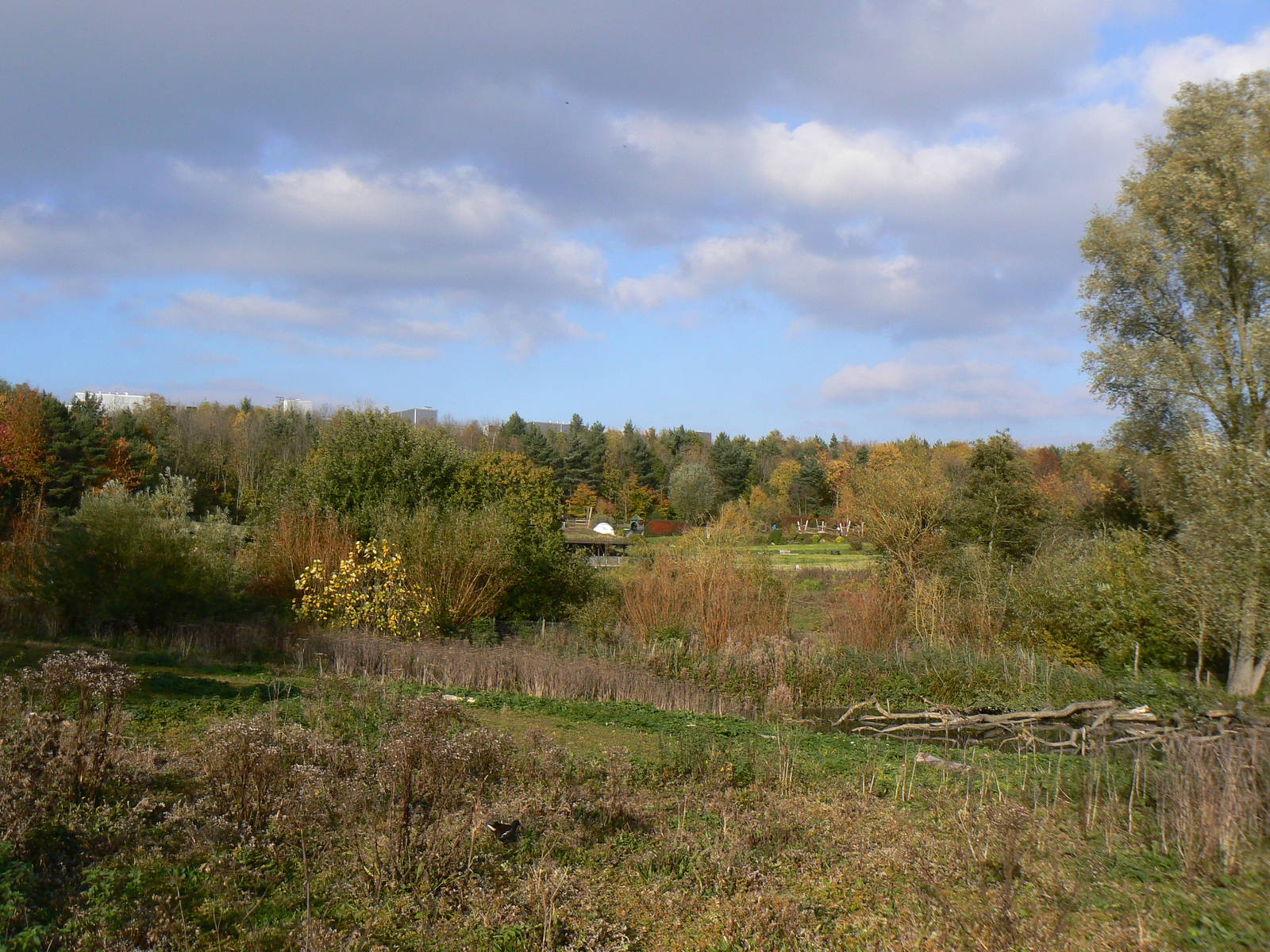 View - 26 October 2015