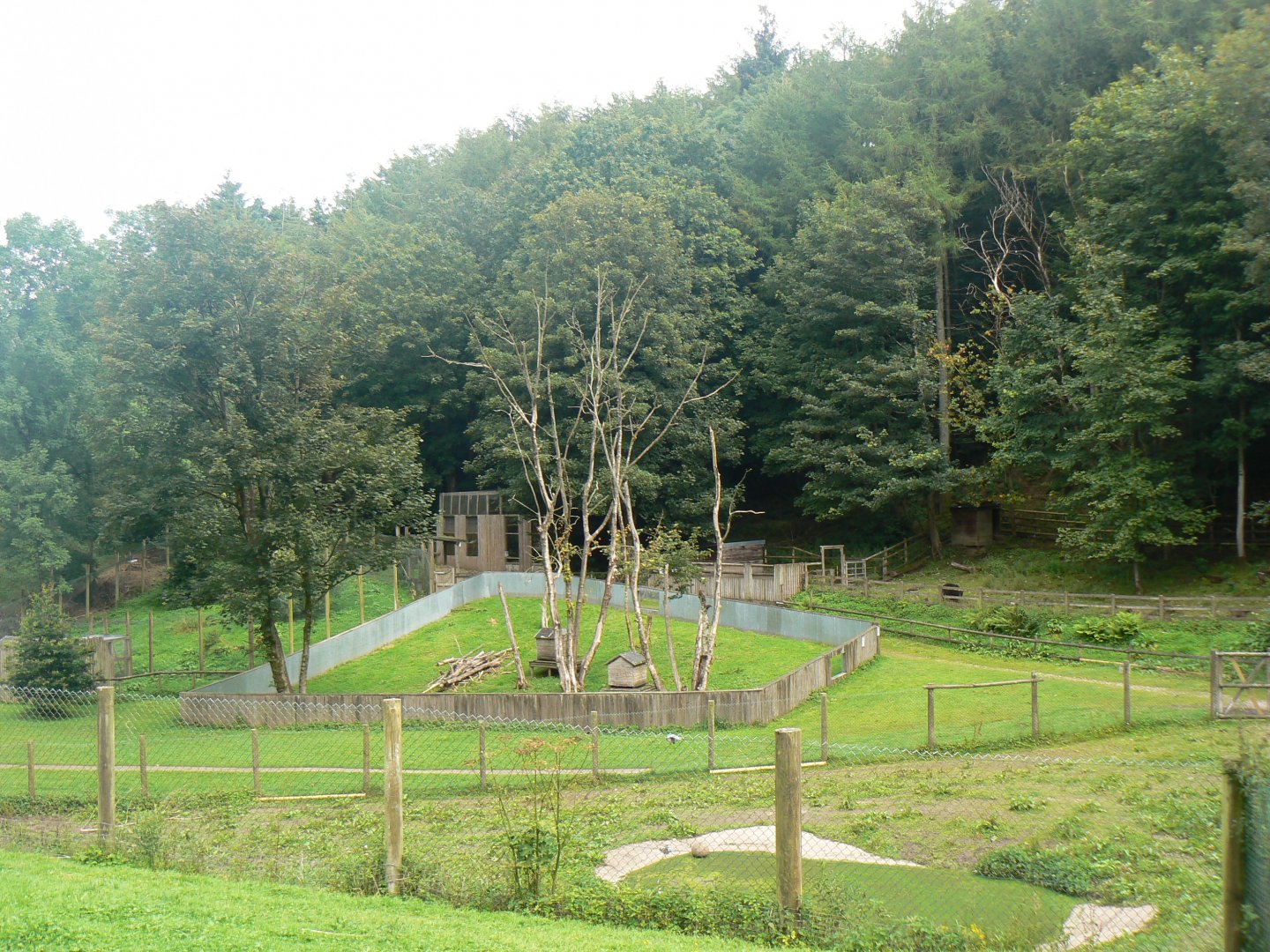 View - 8 August 2017