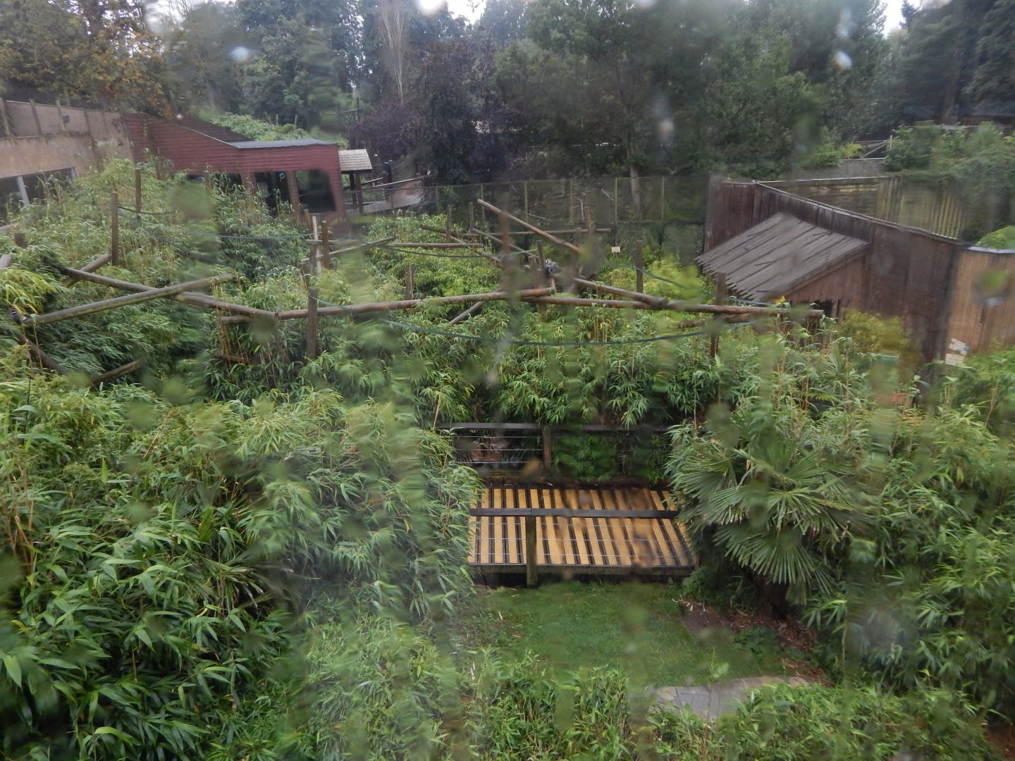 View above Lemur walkthrough 140921