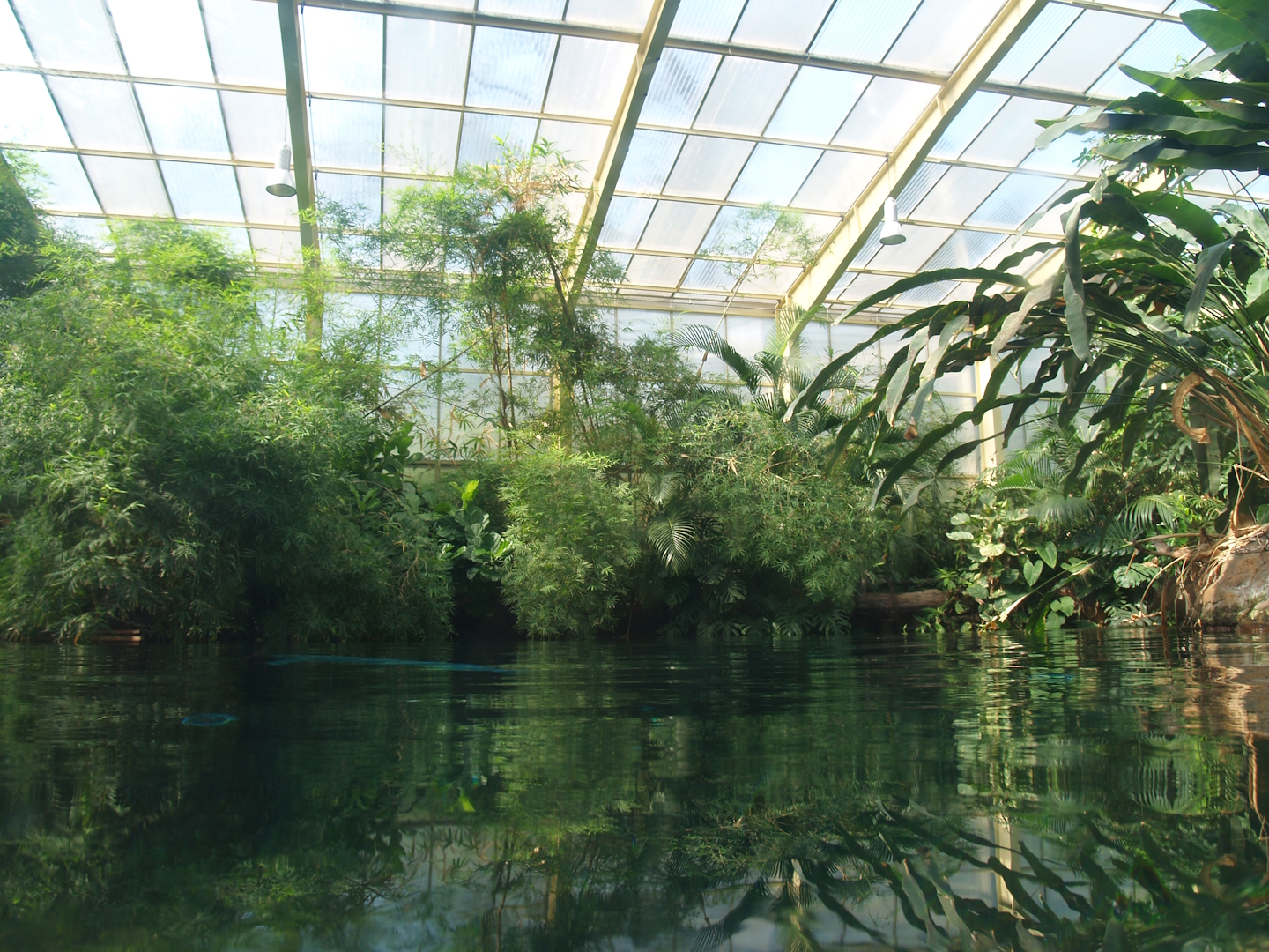 View above the Boto tank (Now fish and Manatee tank), 2007-04-01