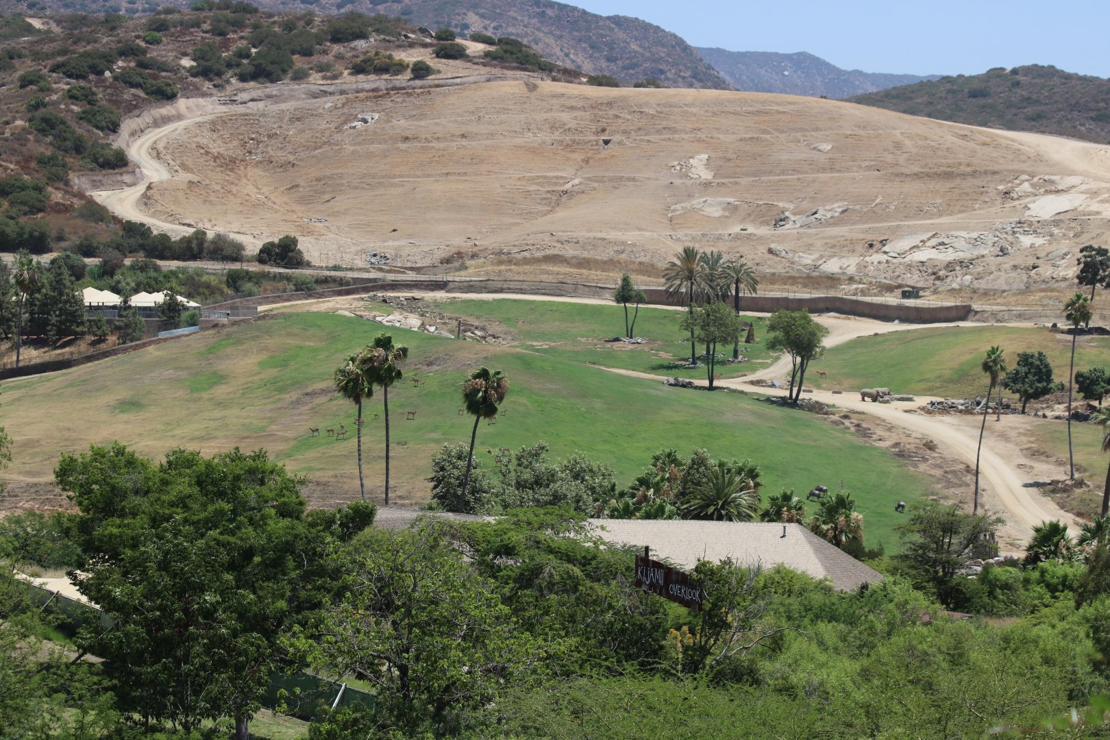 View Across African Plains