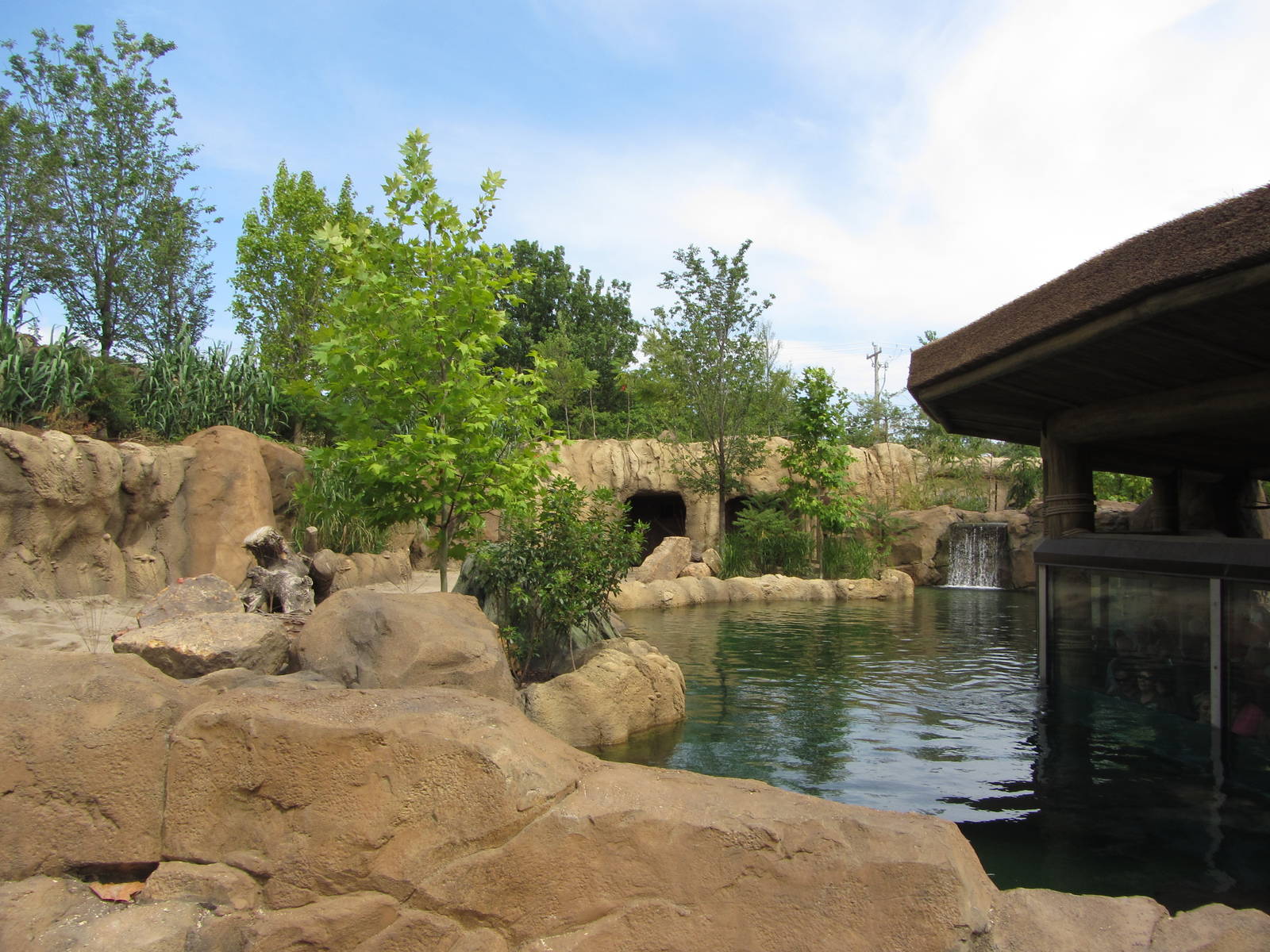 View Across Exhibit from Above Water Viewing Area