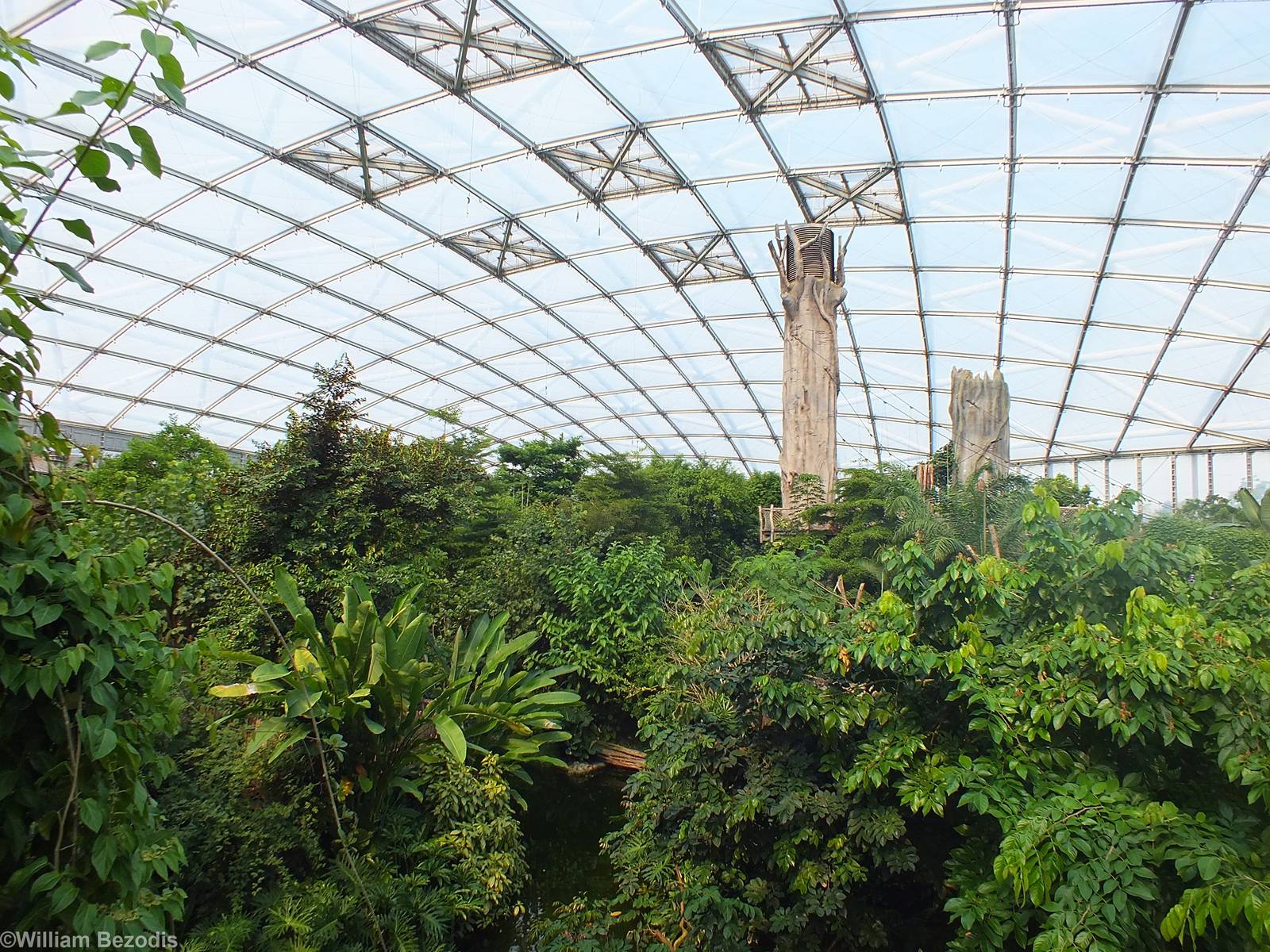 View across Gondwanaland