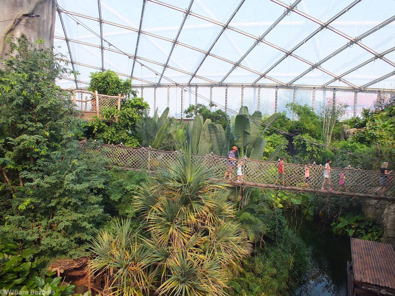 View across Gondwanaland